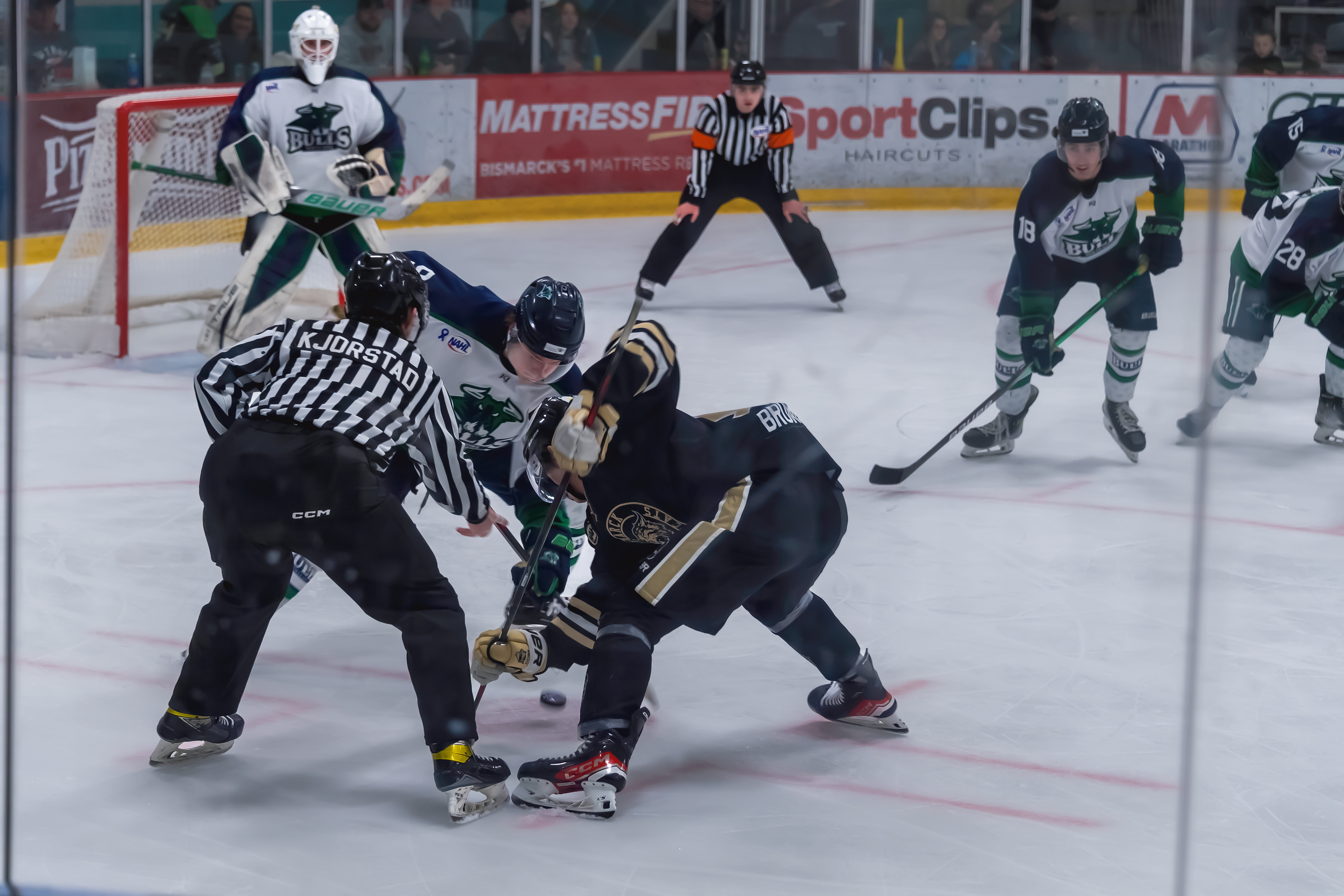 Bismarck Bobcats
