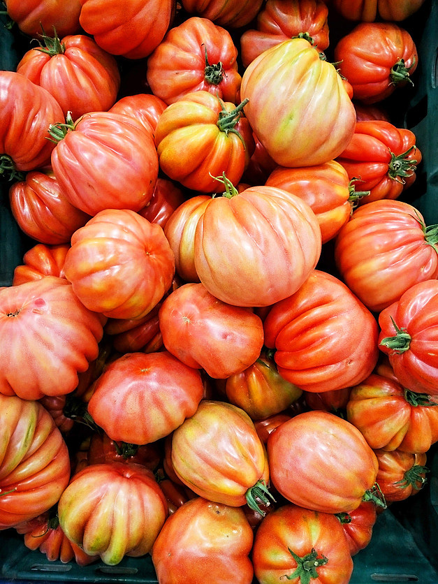 Tomaten