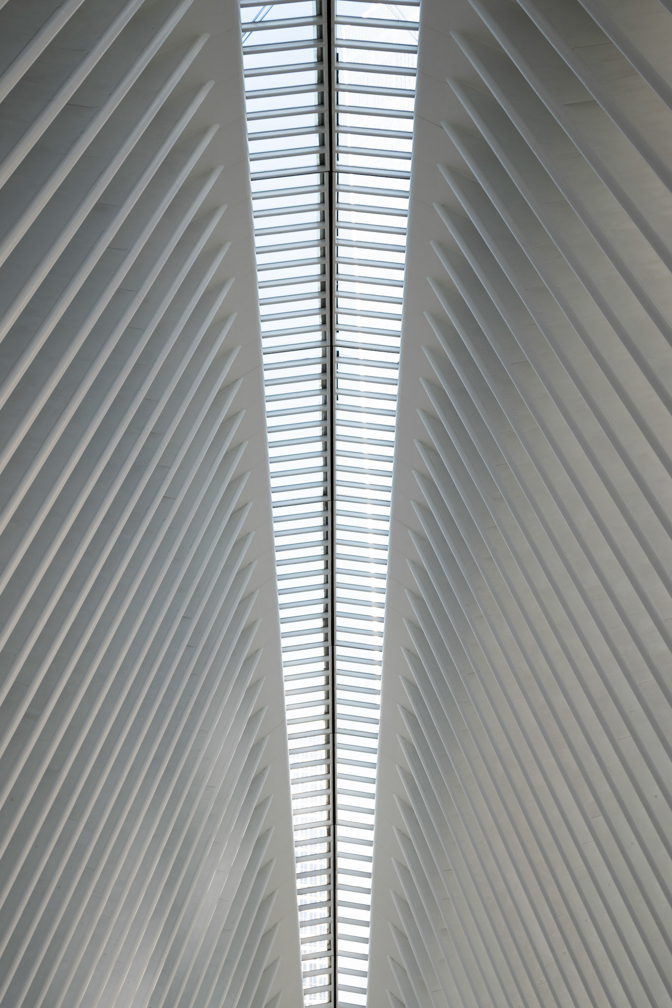 New York, USA