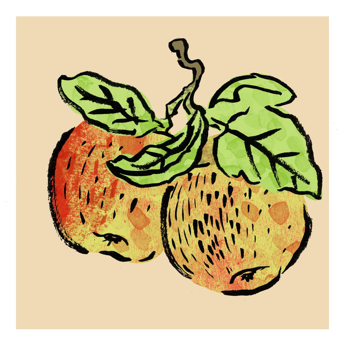 An illustration of 2 apples with ink lines and multiple textures