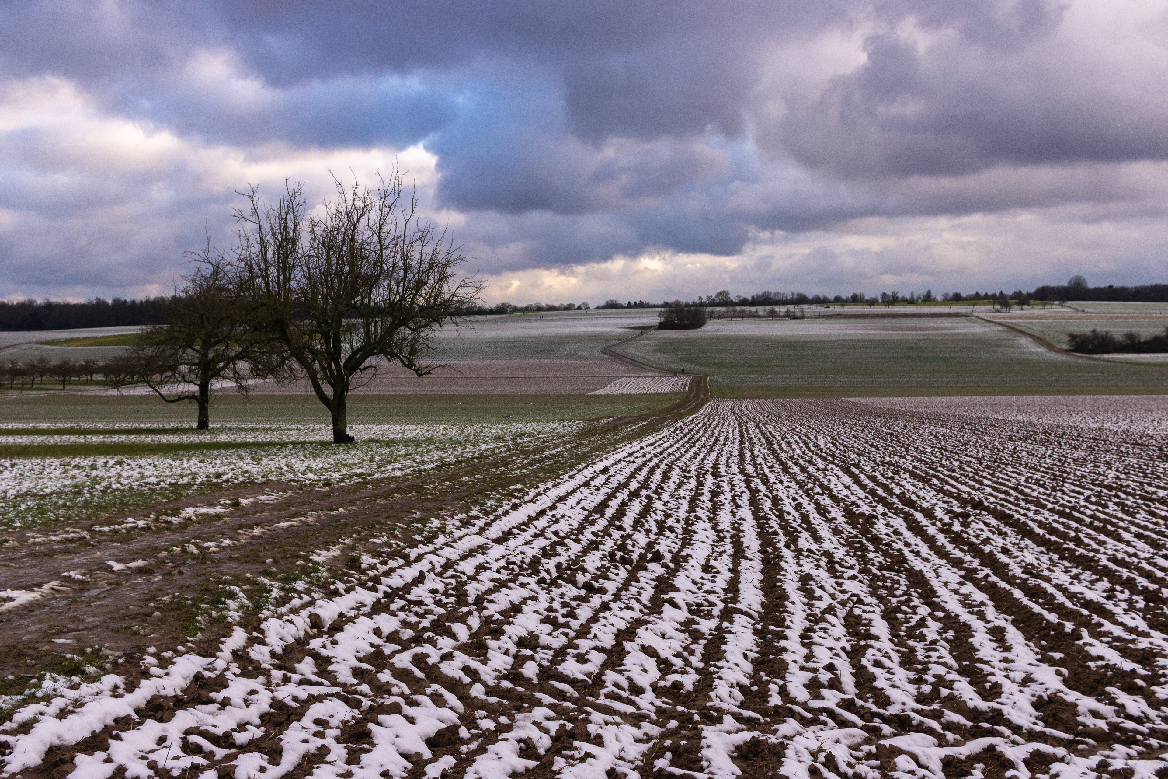 Heiligenstock - Januar 2021