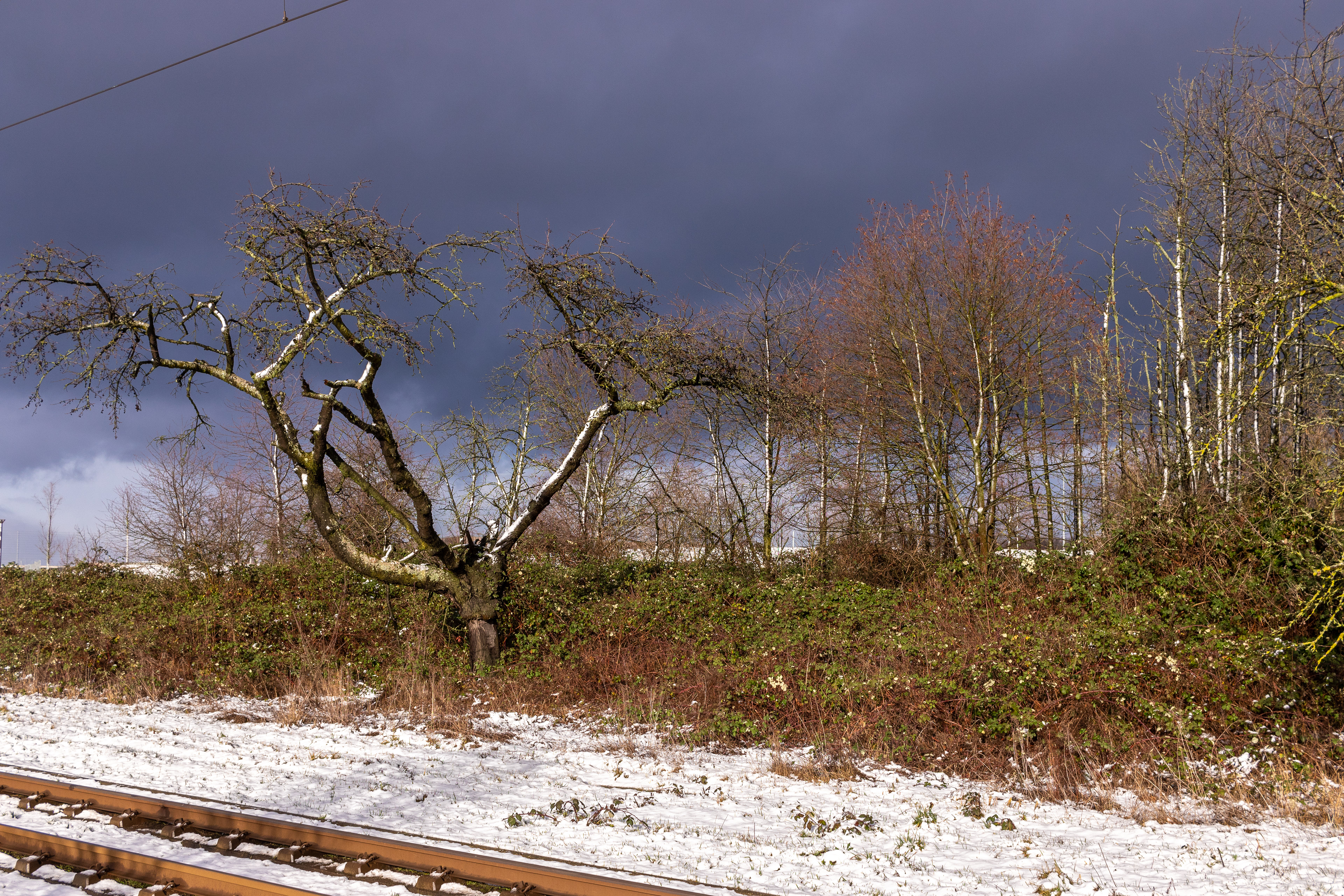 Preungesheim - Januar 2021