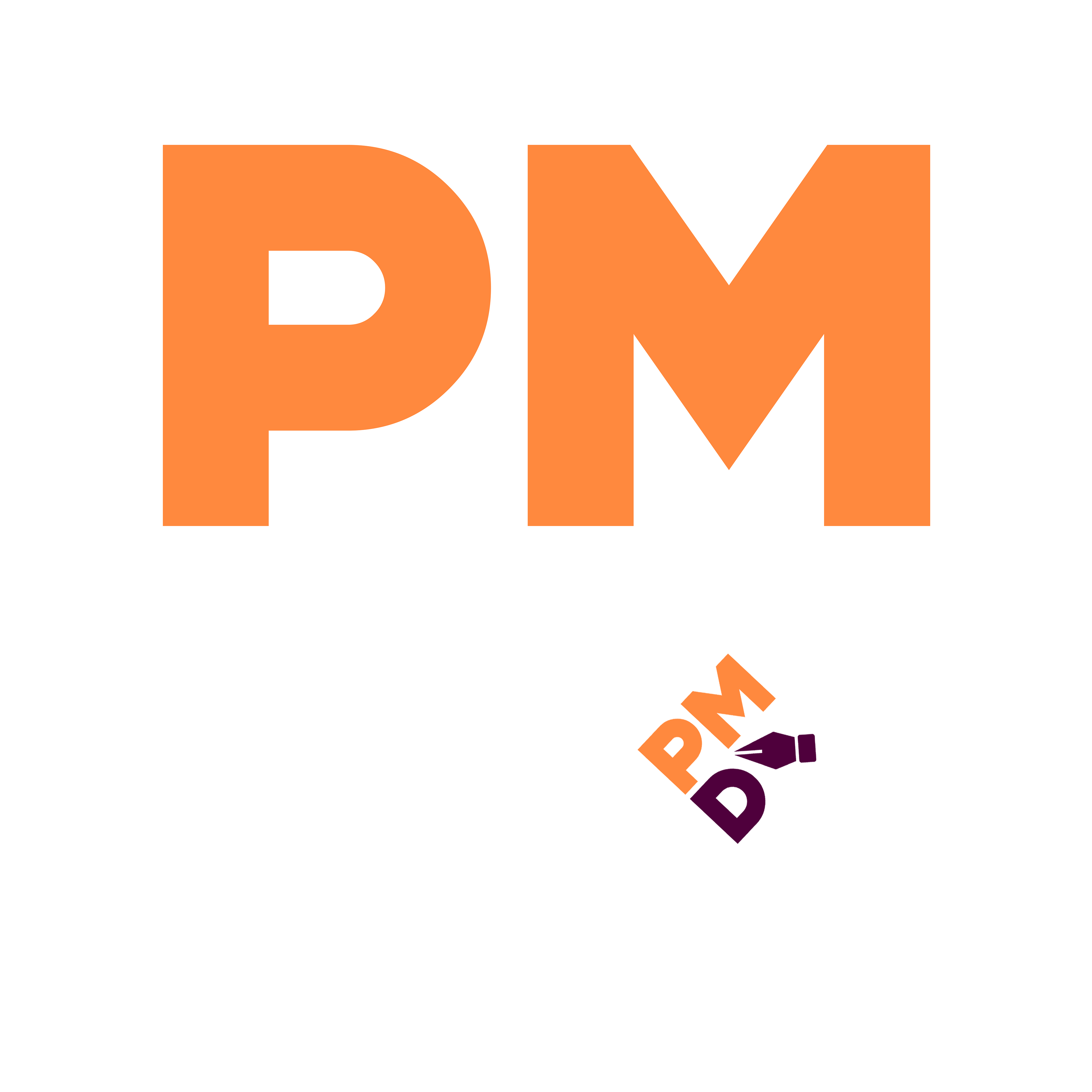 PM Logo Animation 