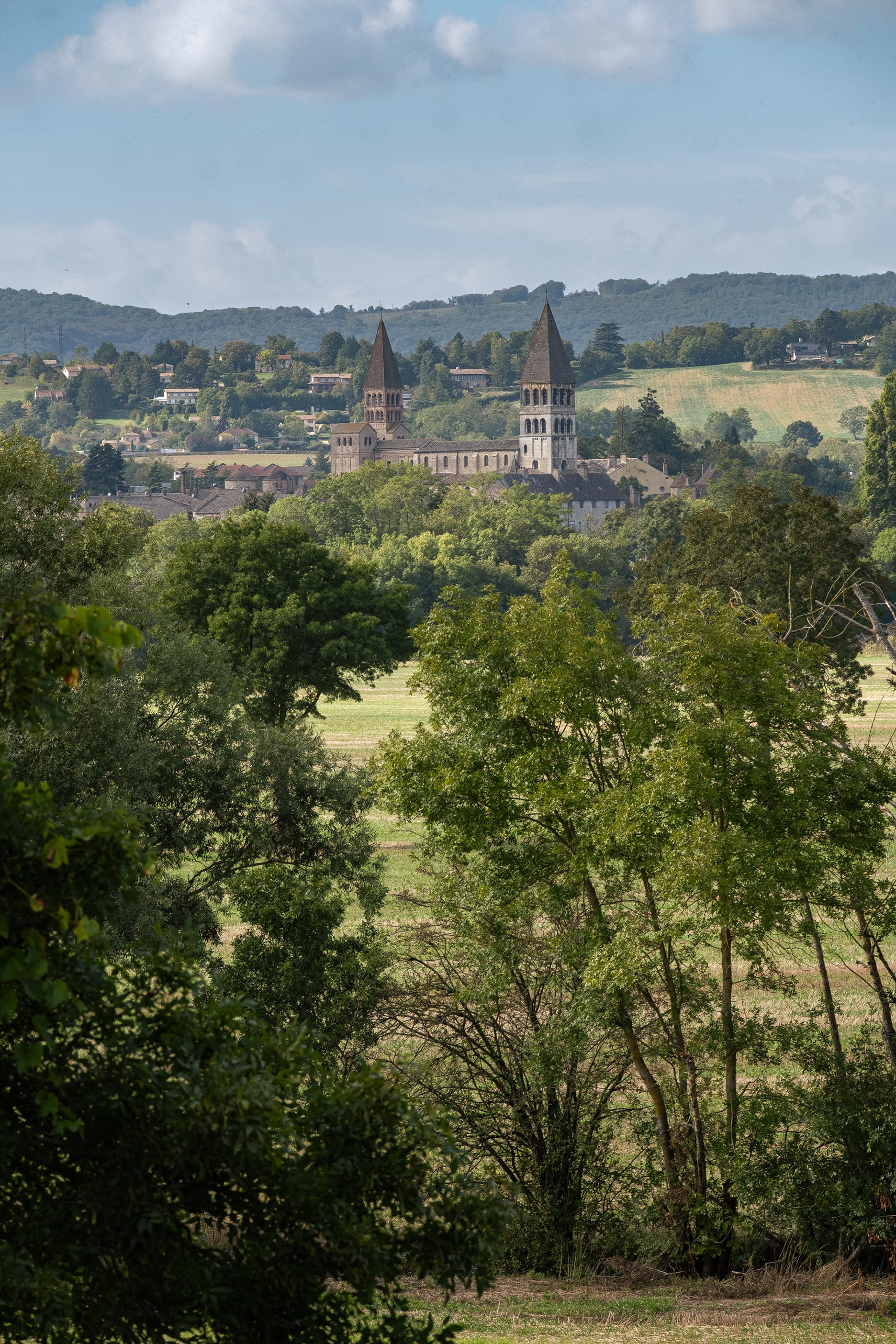 Vue panoramique de l'Abbaye de Tournus en Saône-et-Loire, Bourgogne, avec ses clochers emblématiques émergeant au-dessus des arbres et des collines verdoyantes sous un ciel partiellement nuageux. Cette image met en valeur l'architecture historique de l'abbaye, entourée de la beauté naturelle de la région. Photographie réalisée par Etienne Gatheron, spécialiste des sites historiques et du patrimoine culturel.