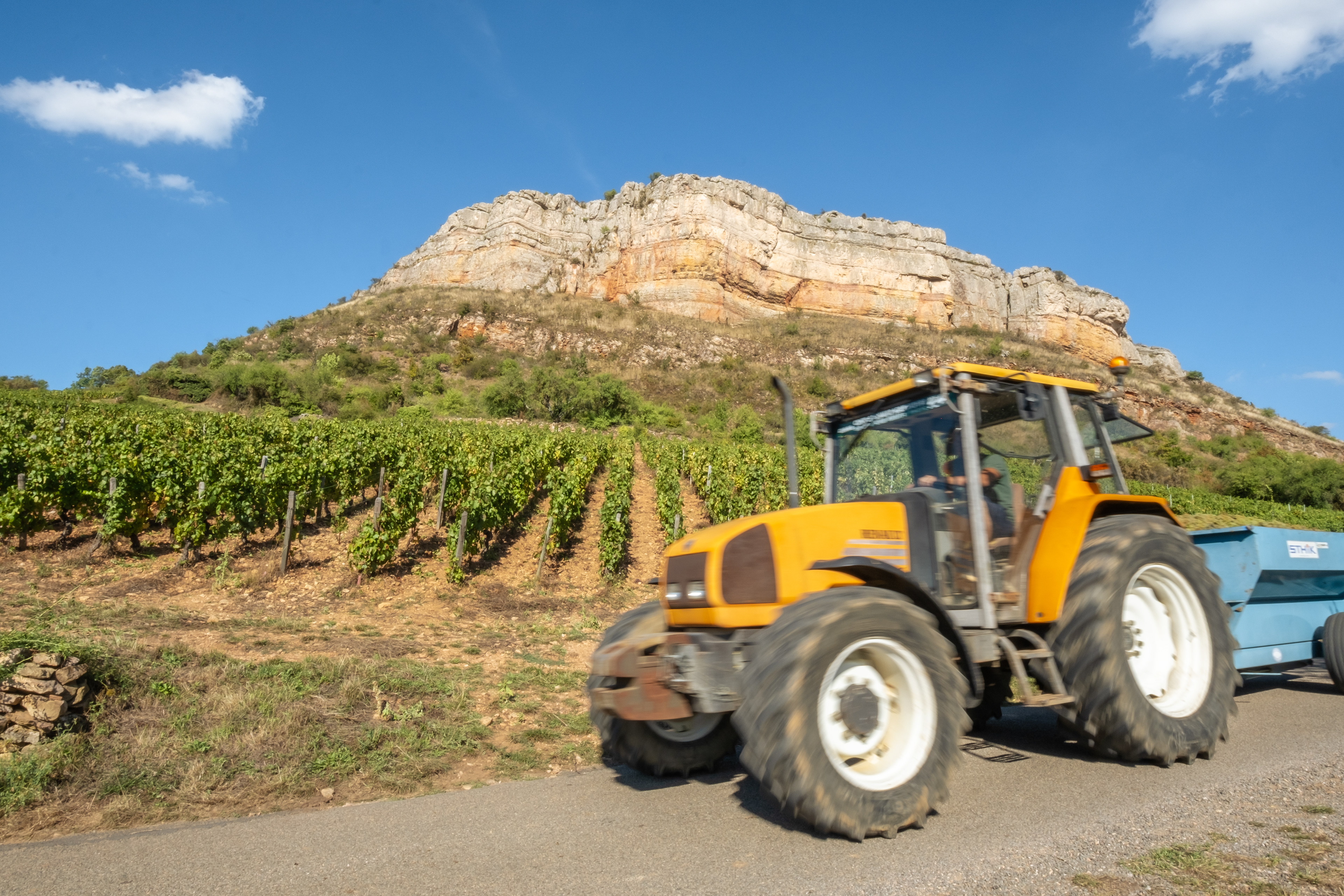 Un tracteur orange roulant sur une route de campagne bordée de vignobles avec des rangées de vignes vertes, au pied de la célèbre Roche de Vergisson en Bourgogne sous un ciel bleu clair. Photographie réalisée par Etienne Gatheron, spécialiste des paysages ruraux et du patrimoine viticole.