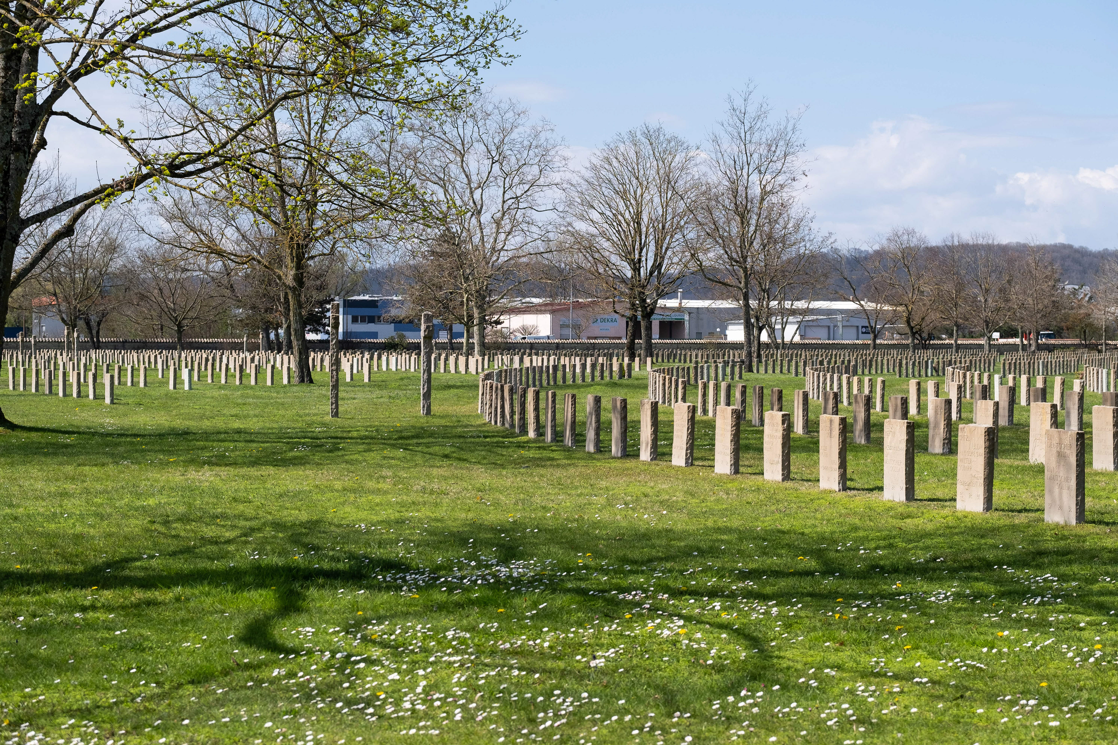 Rangées de pierres tombales alignées entourées de verdure et d'arbres en début de printemps au Cimetière Militaire Allemand de Dagneux près de Lyon. Patrimoine mémoriel et attrait touristique. Photo par Etienne Gatheron, spécialiste des sites historiques, patrimoine culturel et tourisme mémoriel.