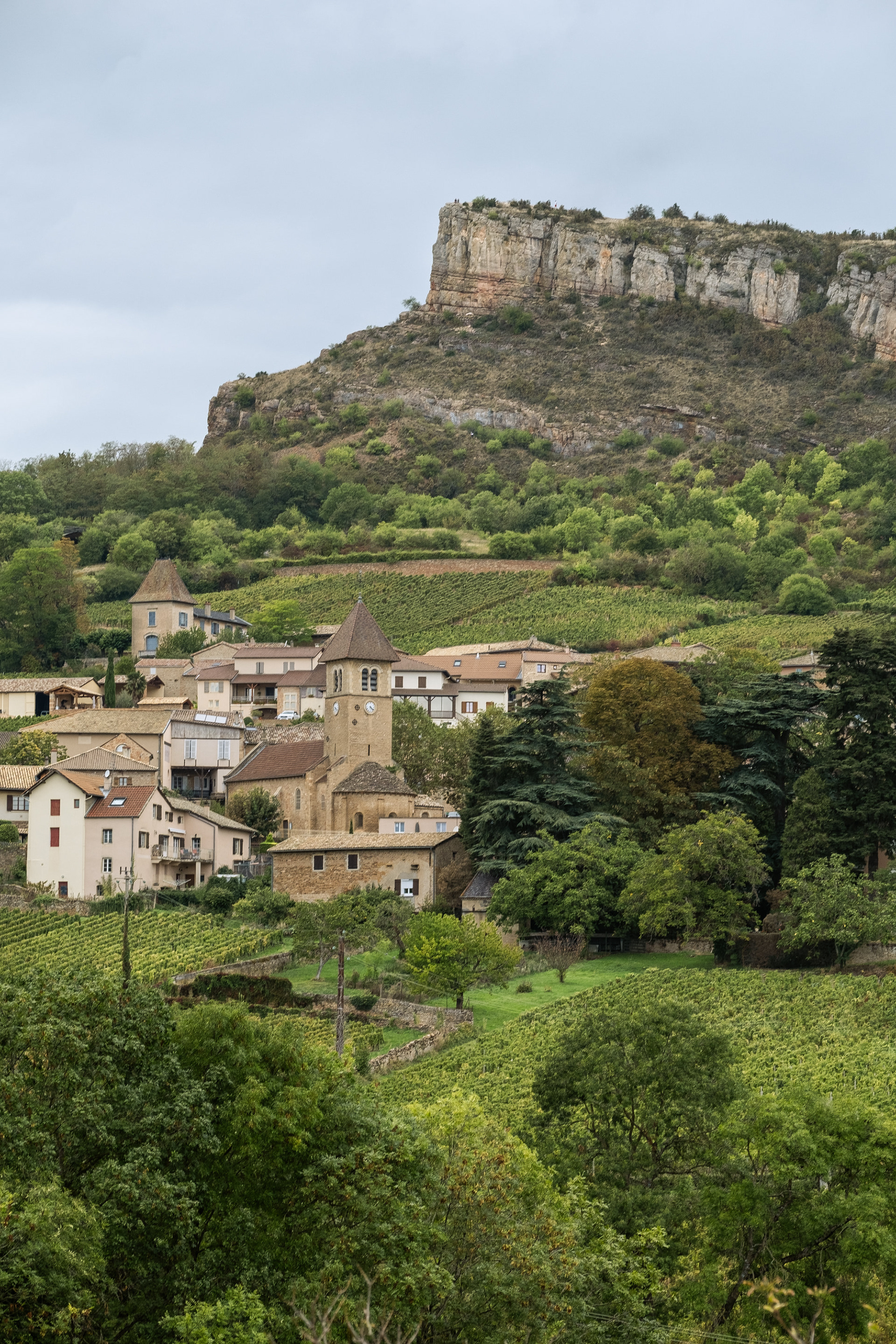 Vue pittoresque du village de Solutré-Pouilly avec la célèbre Roche de Solutré en Saône-et-Loire, Bourgogne. La photo capture des maisons en pierre et une église historique entourées de vignes verdoyantes et de collines boisées. La Roche de Solutré domine majestueusement l'arrière-plan, ajoutant une touche impressionnante au paysage rural. Cette scène sereine met en valeur la beauté naturelle et le patrimoine architectural de la région Rhône-Alpes. Photographie réalisée par Etienne Gatheron, photographe institutionnel spécialisé dans les paysages et les sites culturels.