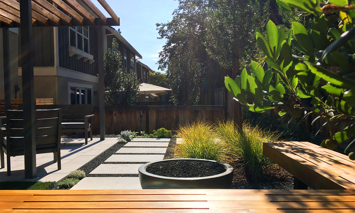 Danville Modern Landscape Design