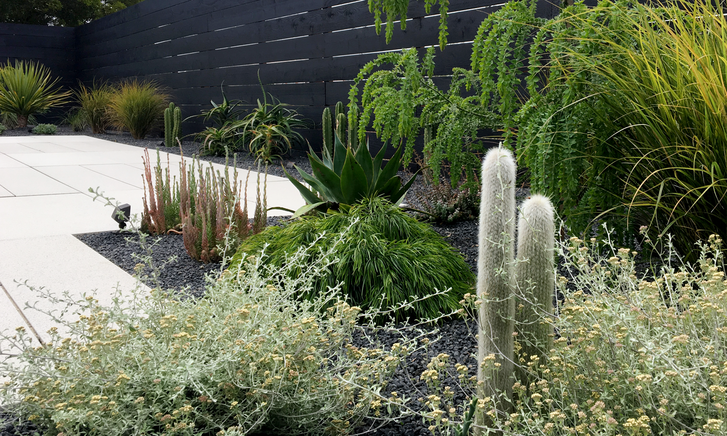 San Francisco Modern Landscape Design