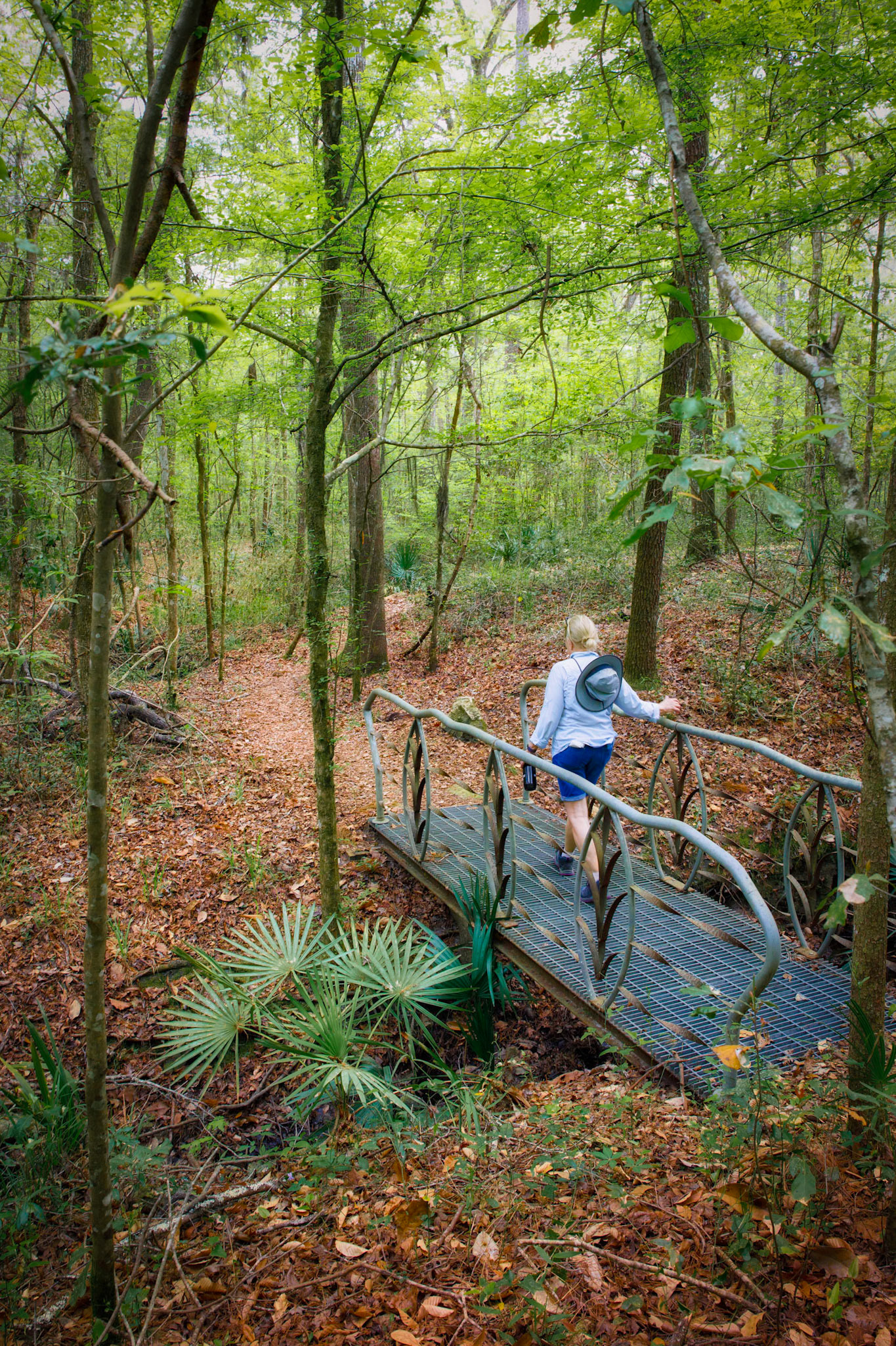 Mill Creek Preserve