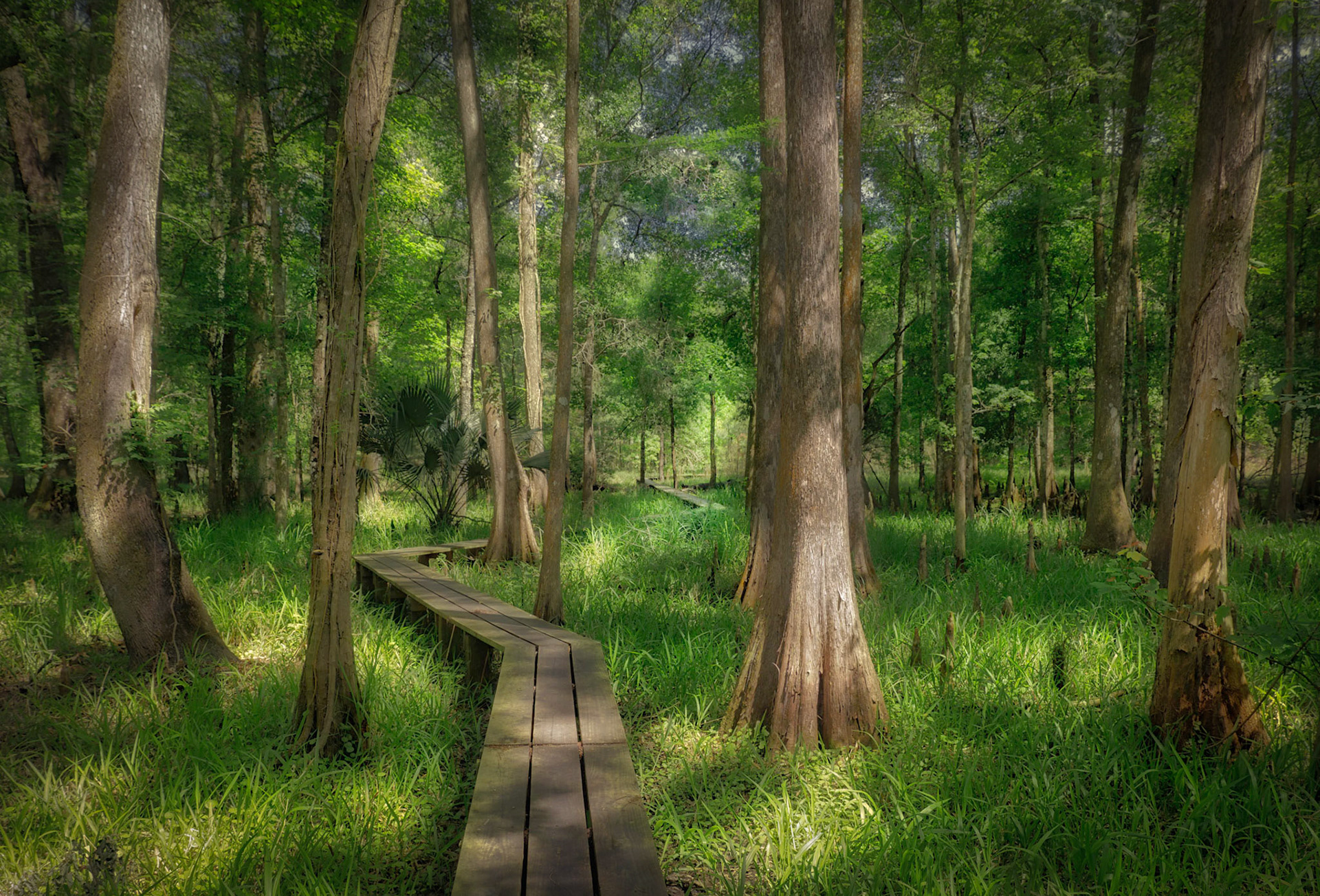 Prairie Creek Preserve