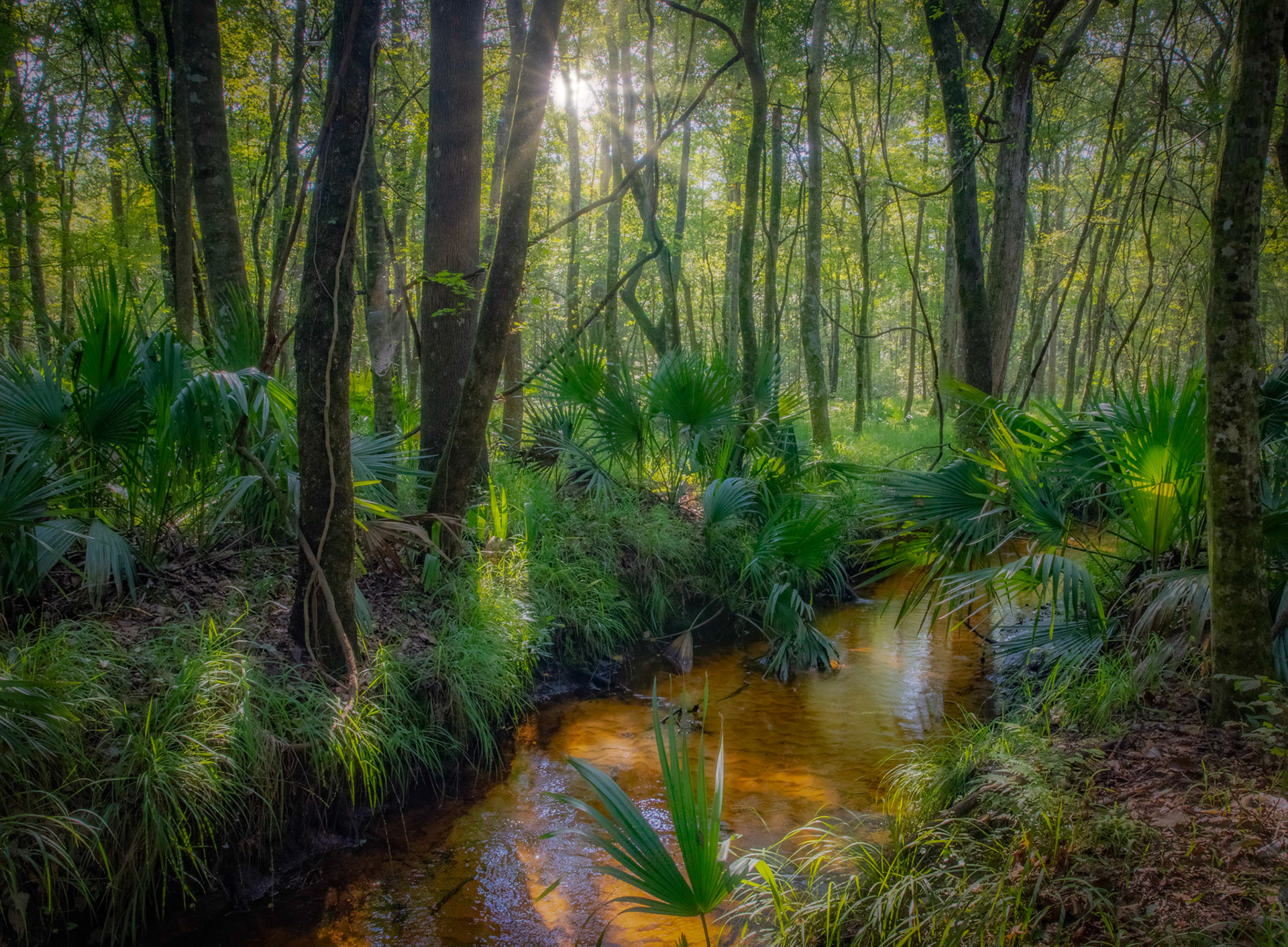 Santa Fe River Preserve