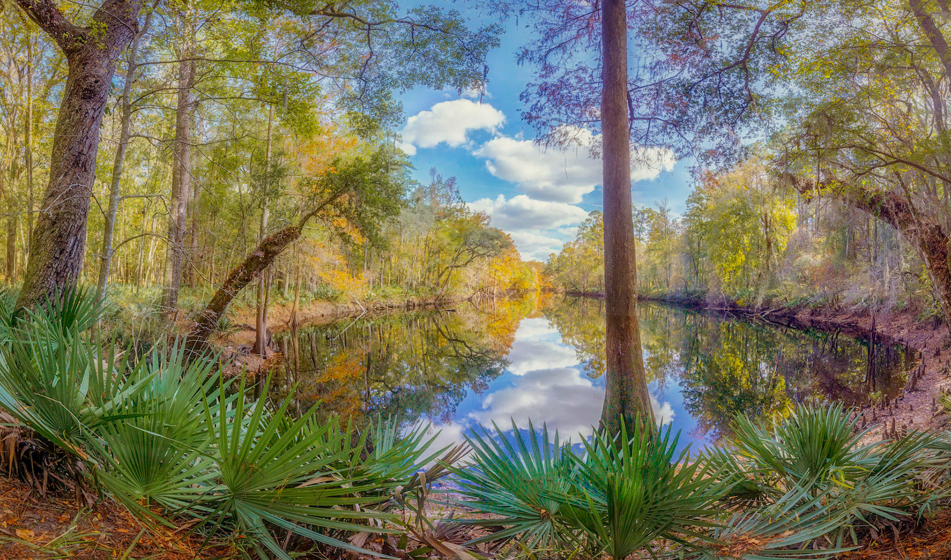 River Rise State Preserve