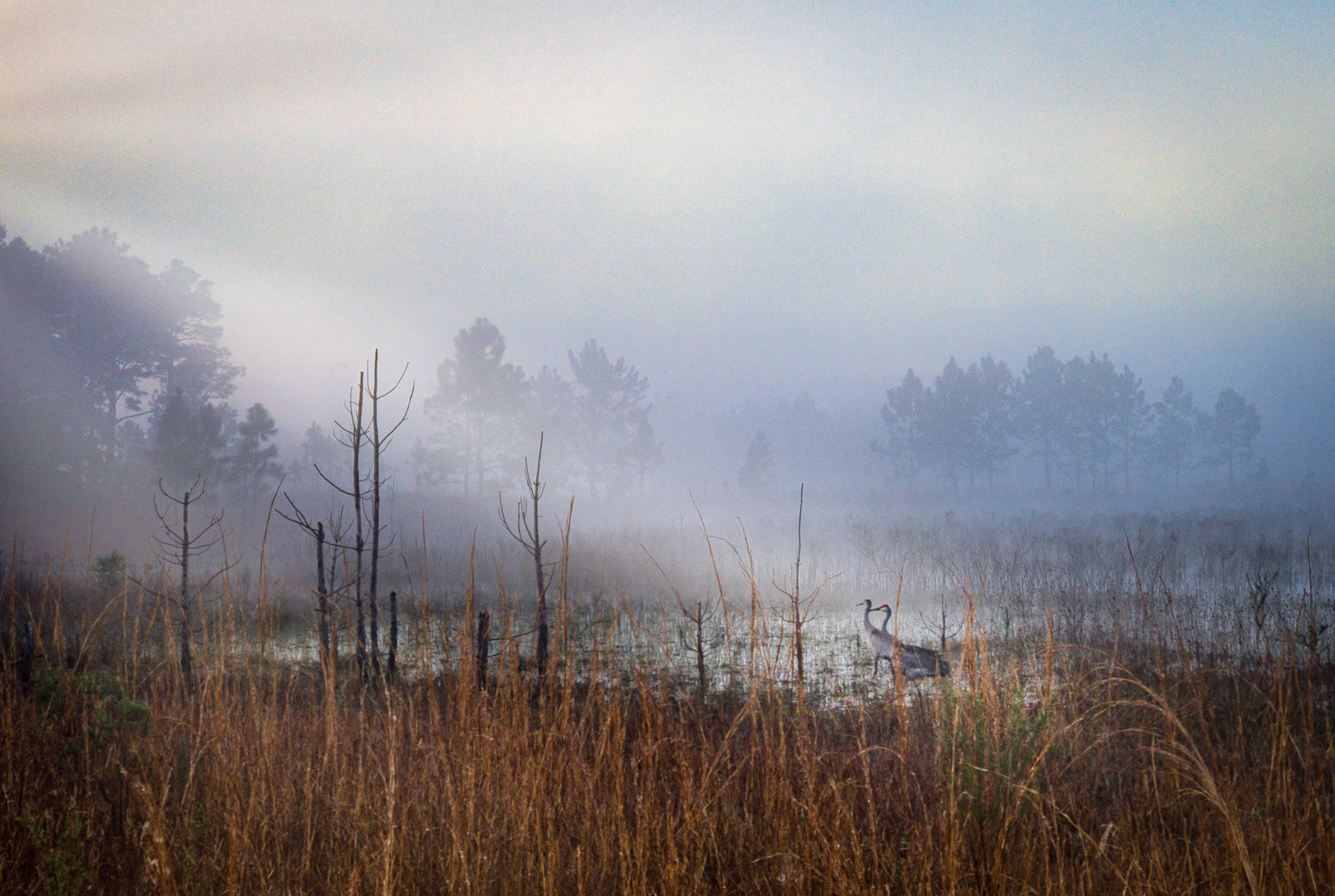Juniper Prairie Wilderness