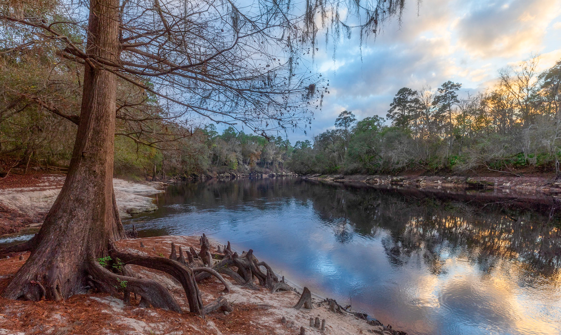 Suwannee River