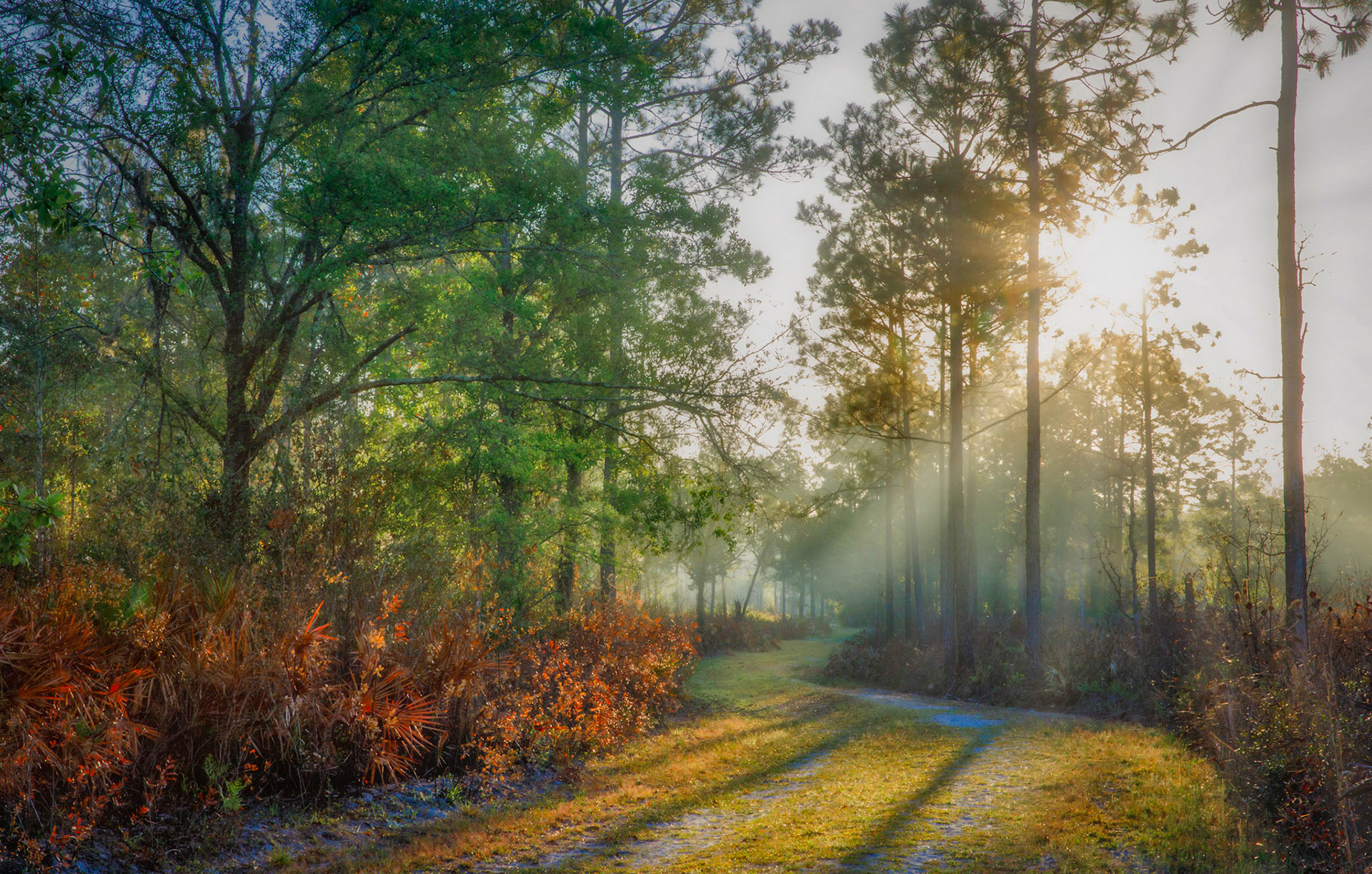 Alto North Preserve