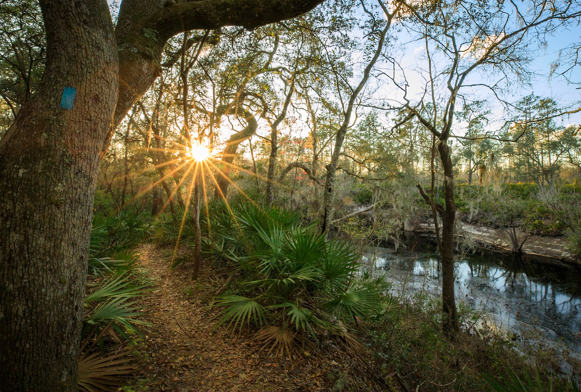 Suwannee River