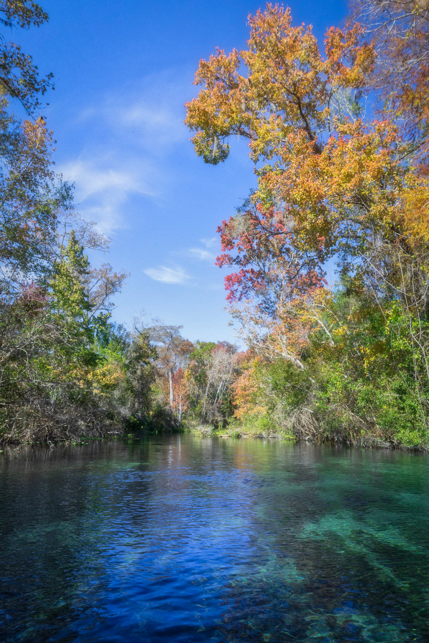 Gum Slough