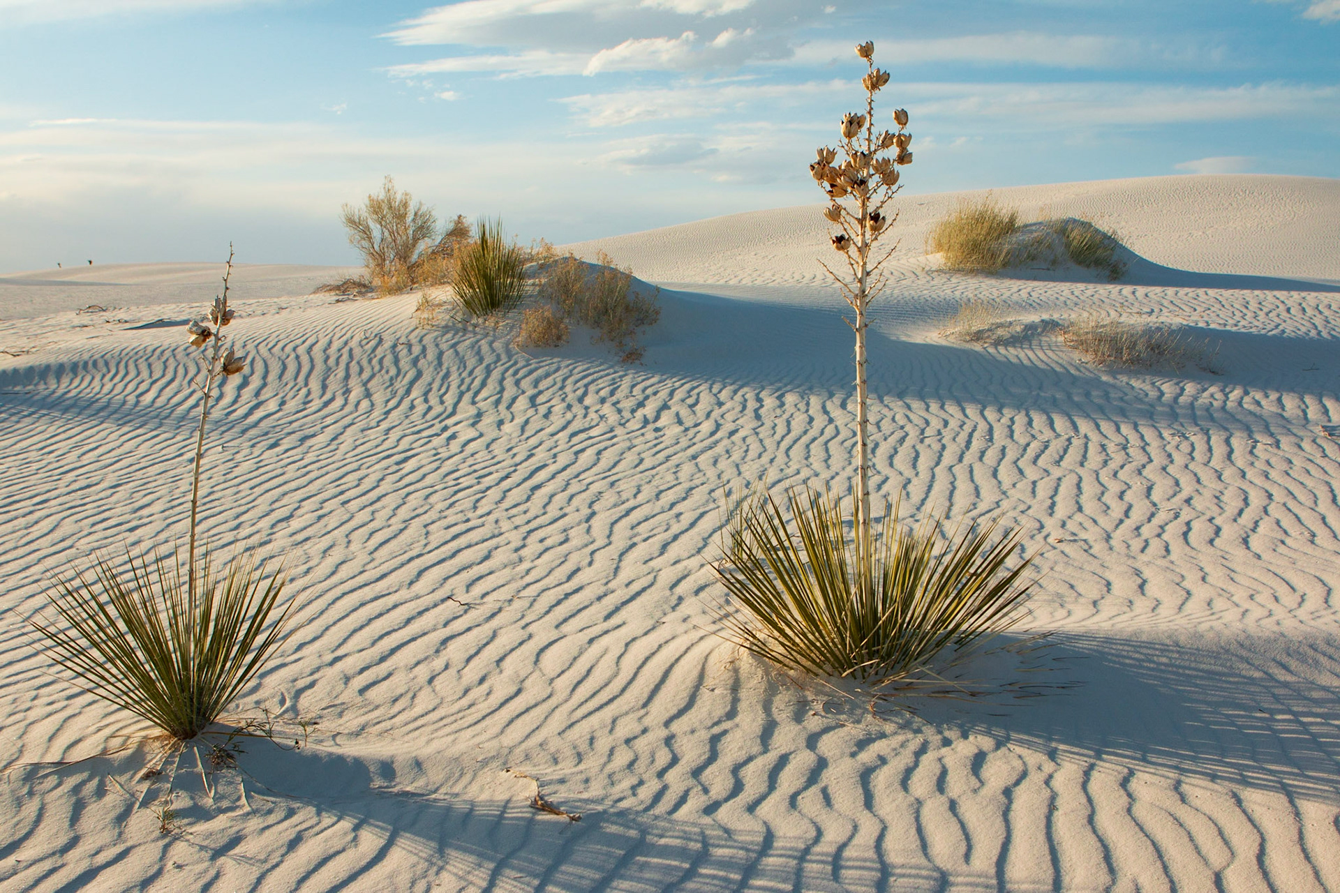 White Sands Natl Park