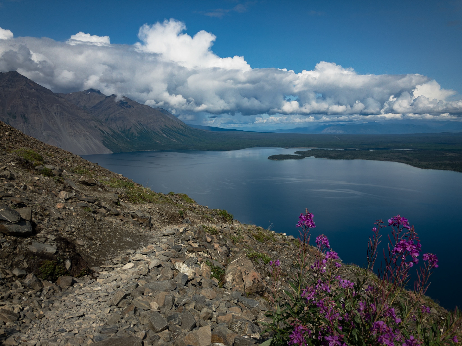 Kluane NP, Yukon
