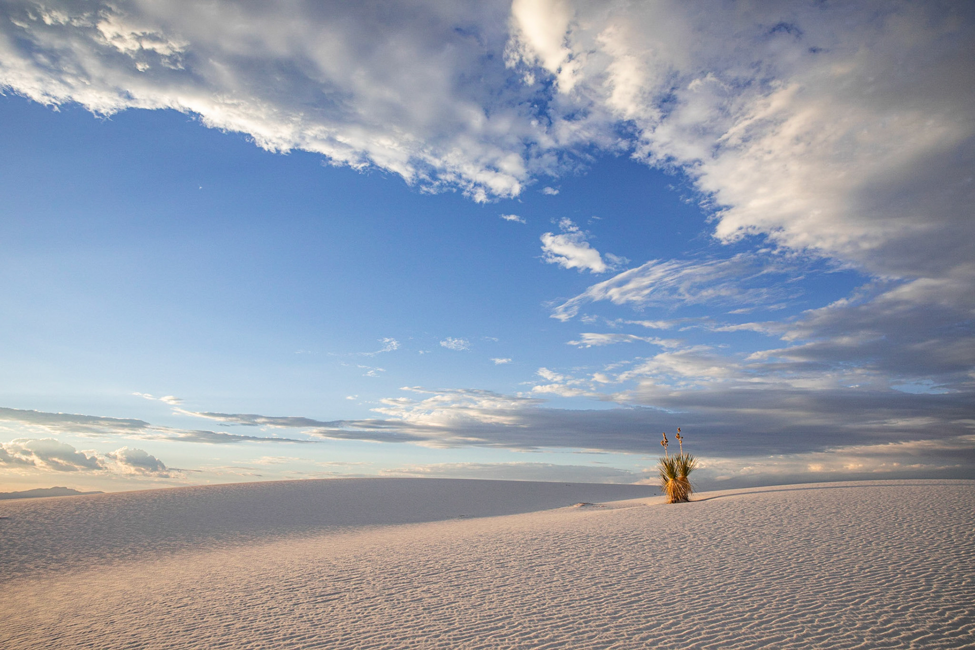 White Sands Natl Park