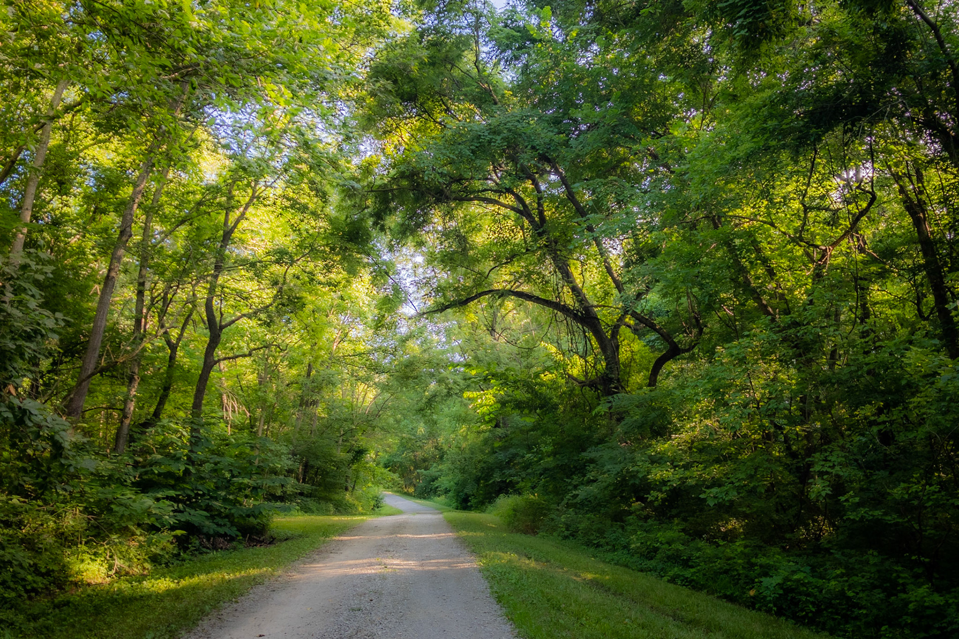 Iowa backroad