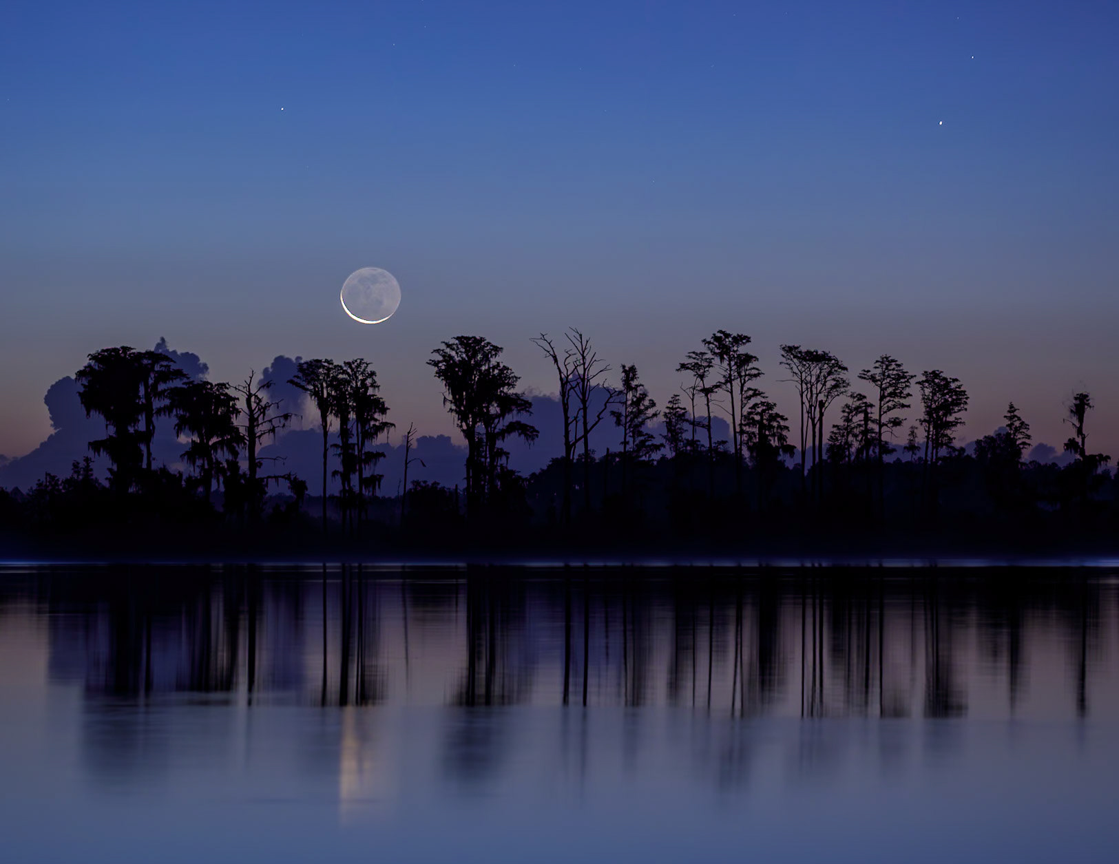 To the Moon and Stars