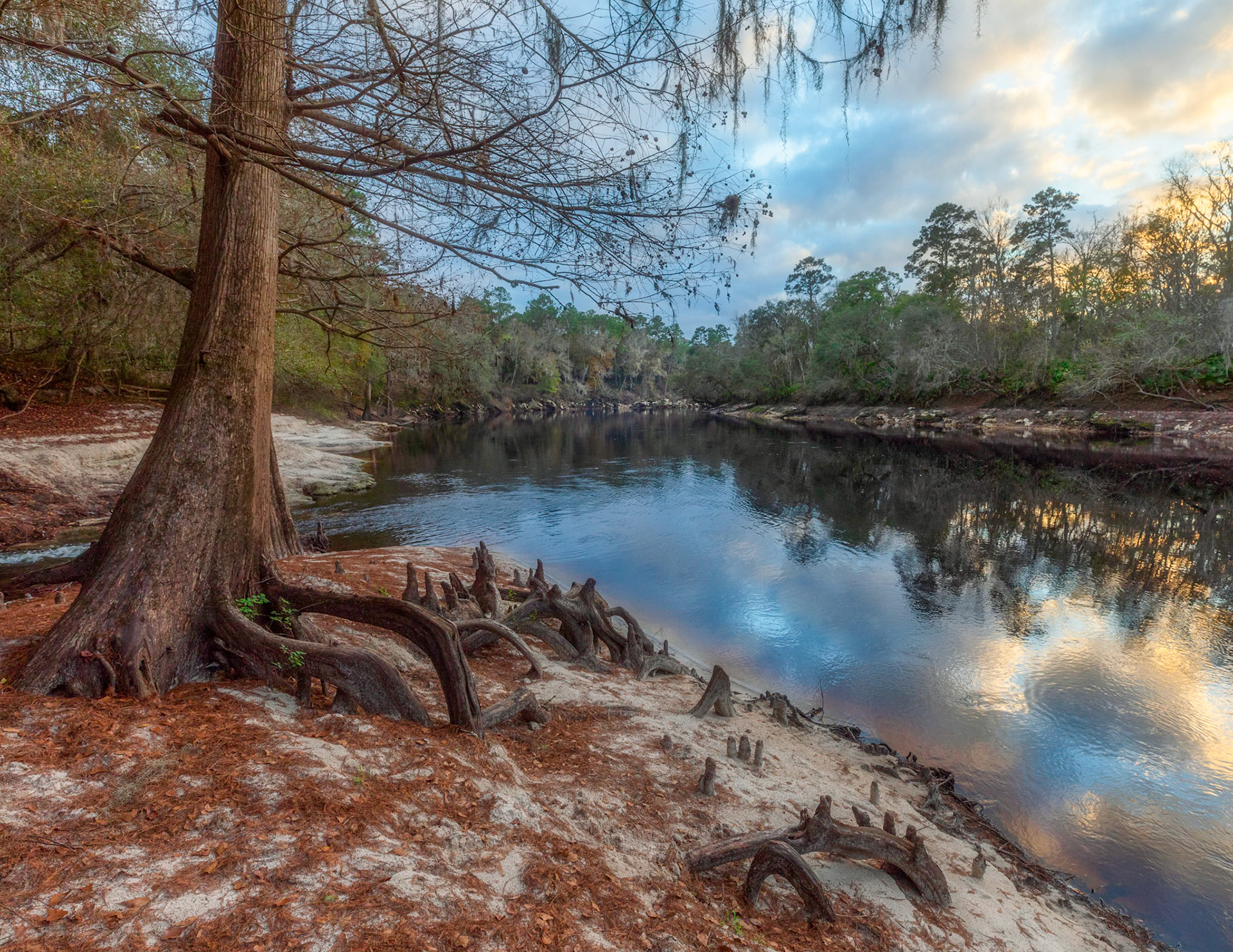 Suwannee River