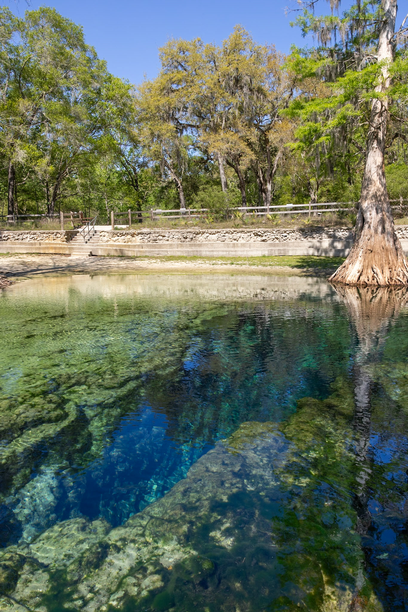 Rock Bluff Springs