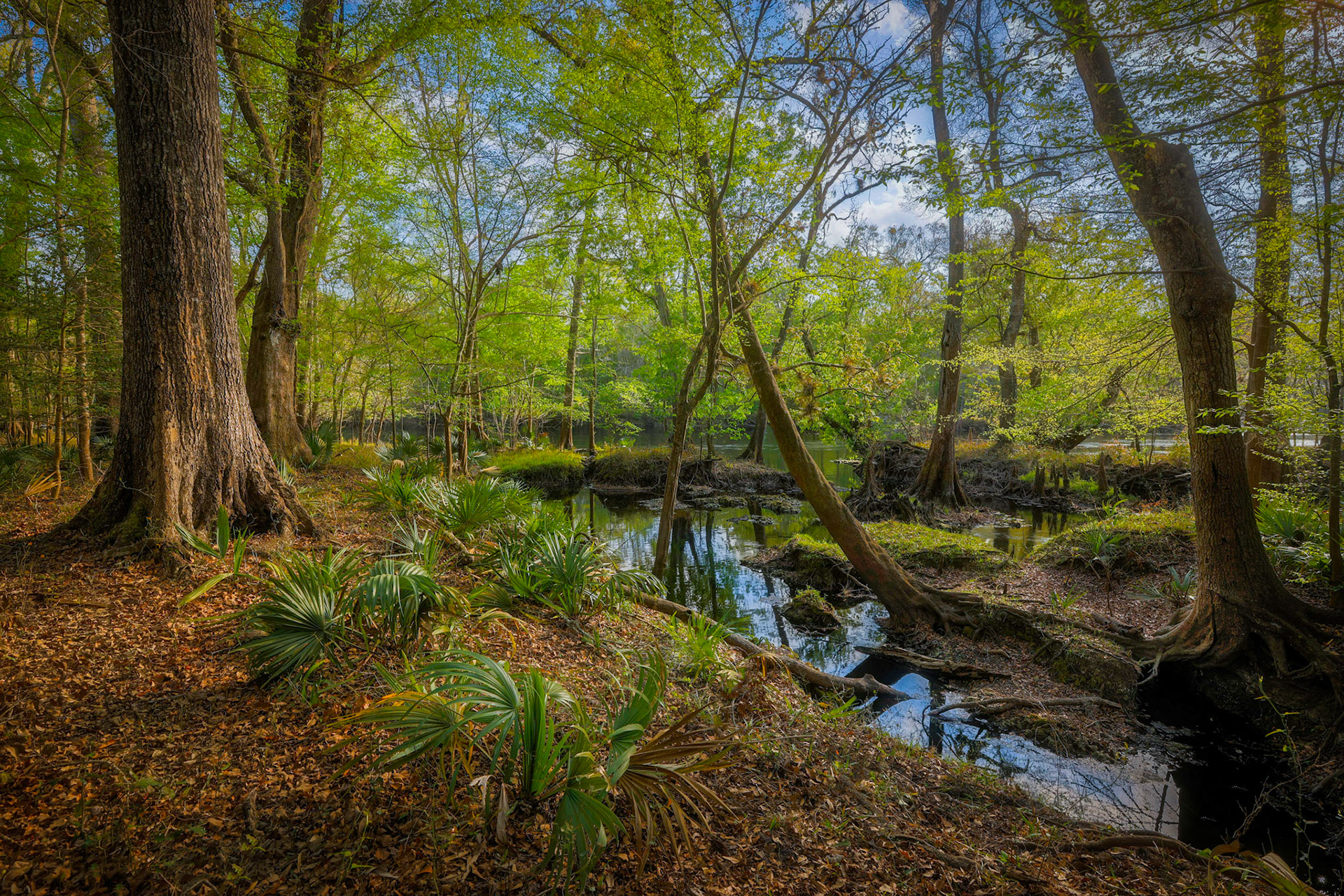 Little Awesome Siphon Preserve