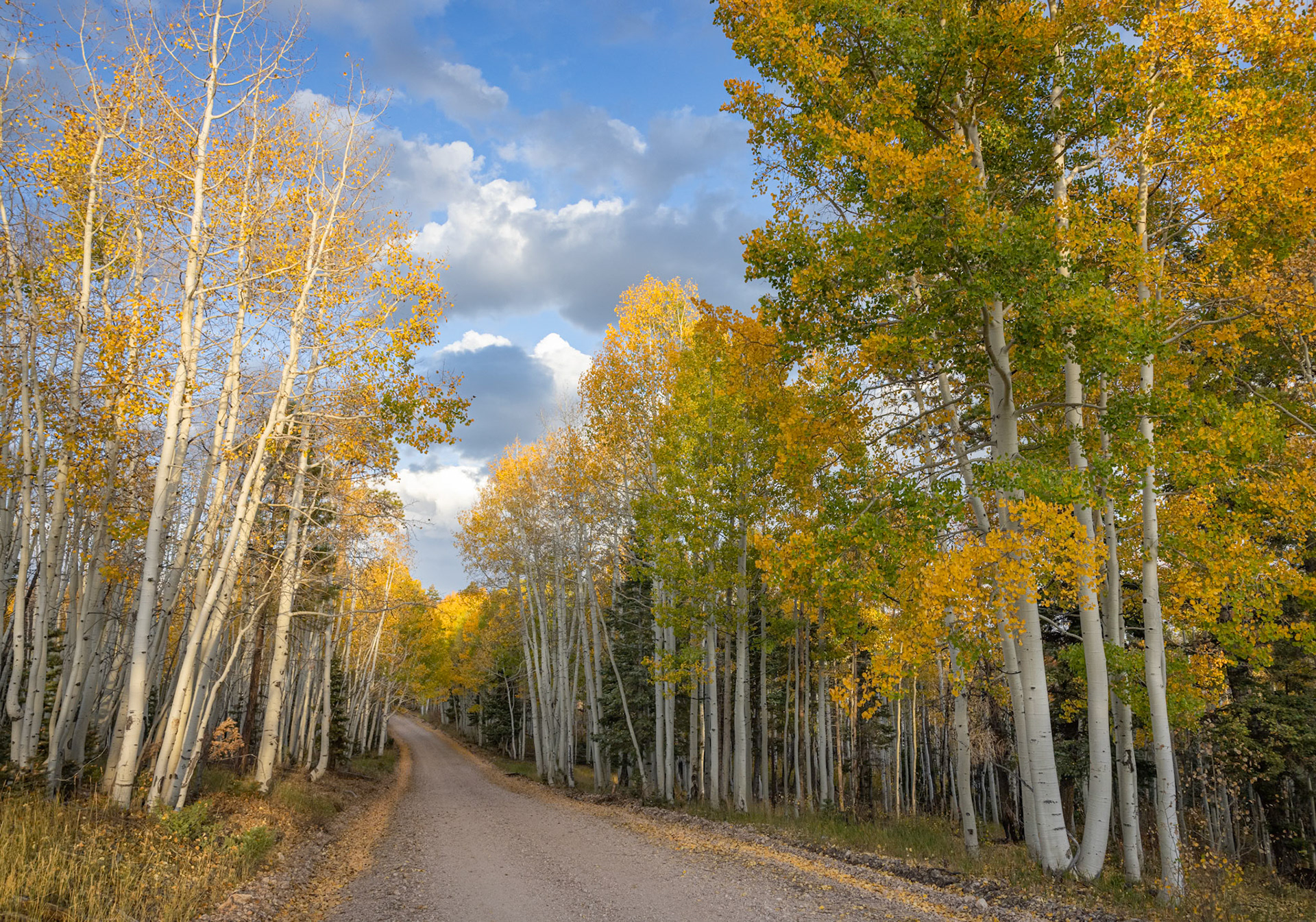 Kaibab Plateau