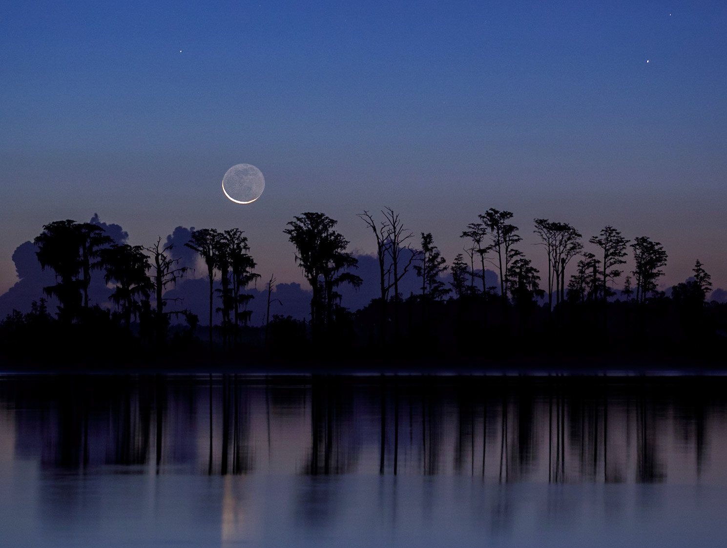 To the Moon and Stars