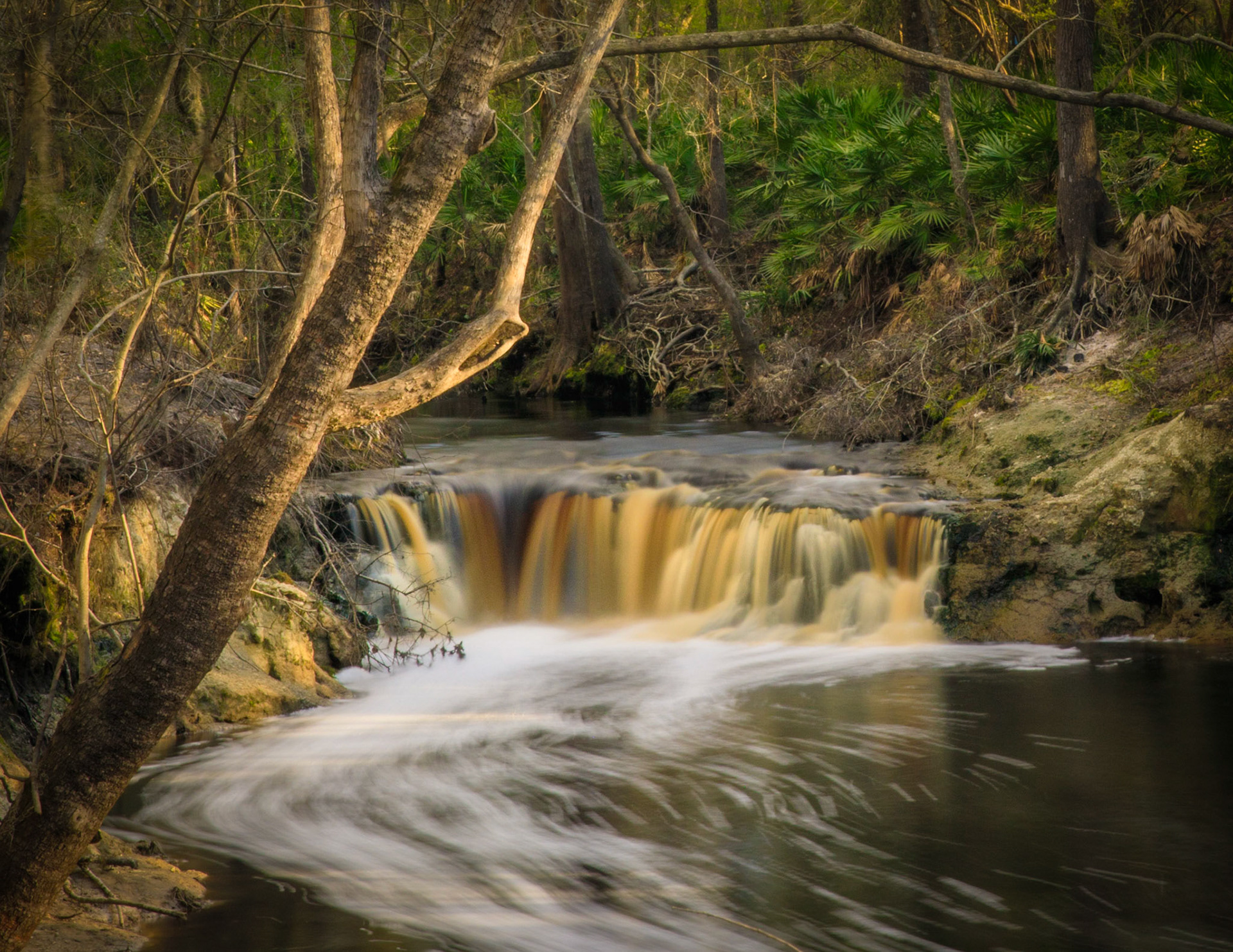 Robinson Creek