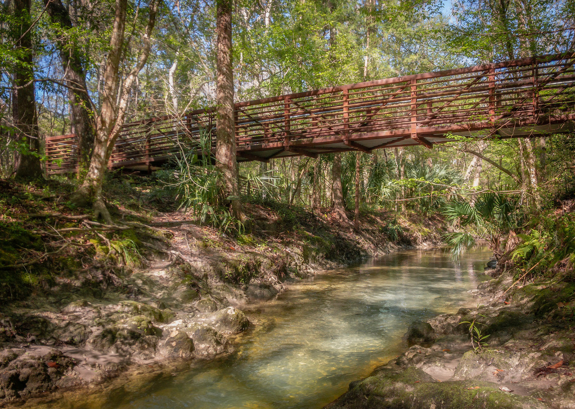 Sweetwater Creek Preserve