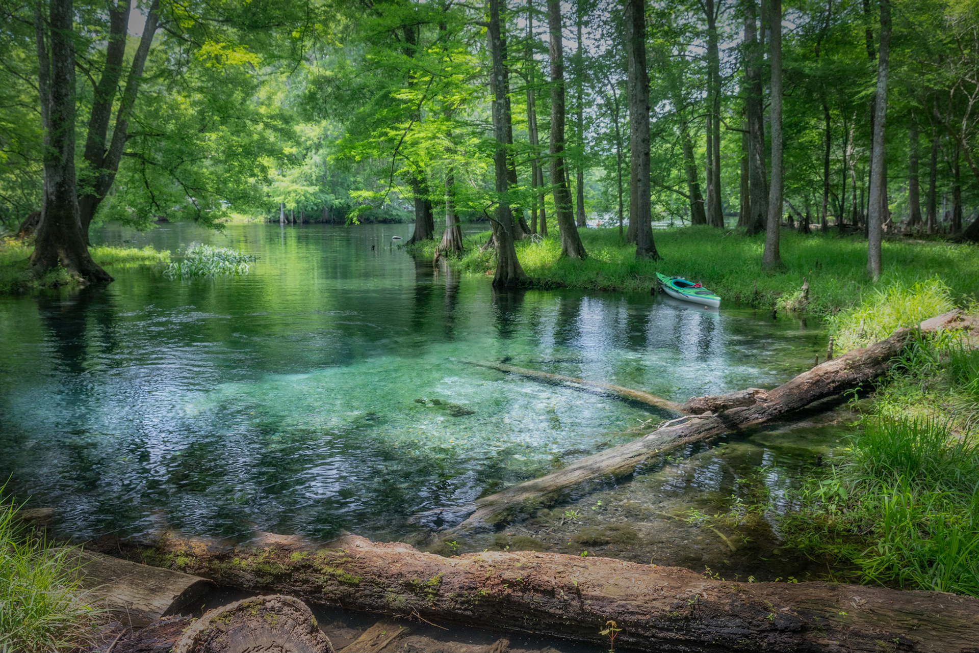 Sawdust Spring