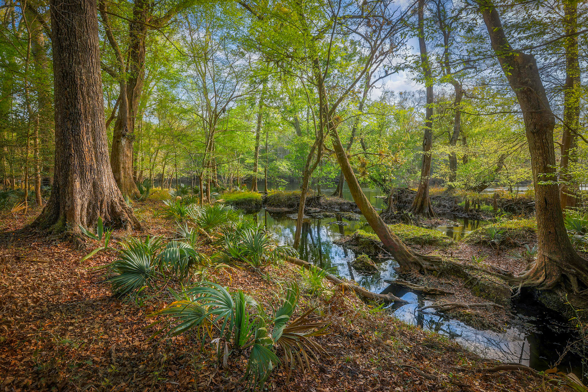 Little Awesome Siphon Preserve