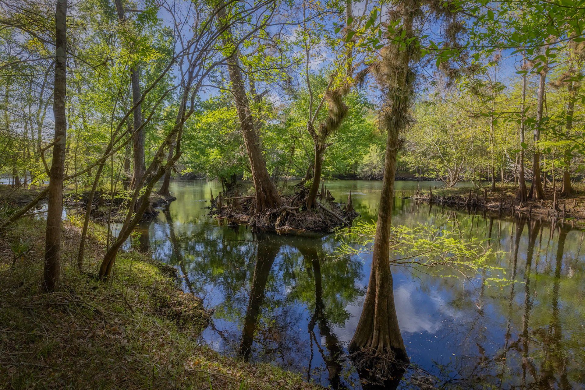 Little Awesome Siphon Preserve