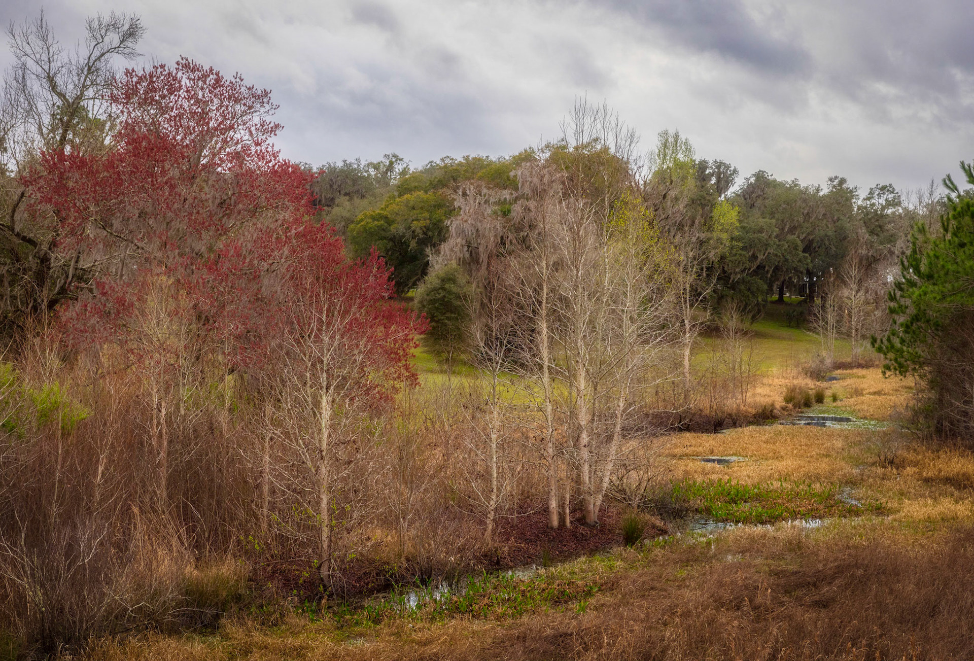 Orange Creek