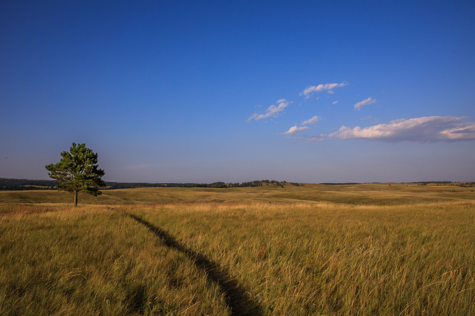 Black Hills