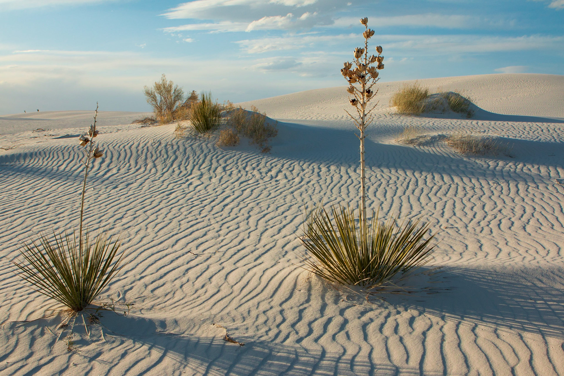 White Sands Natl Park