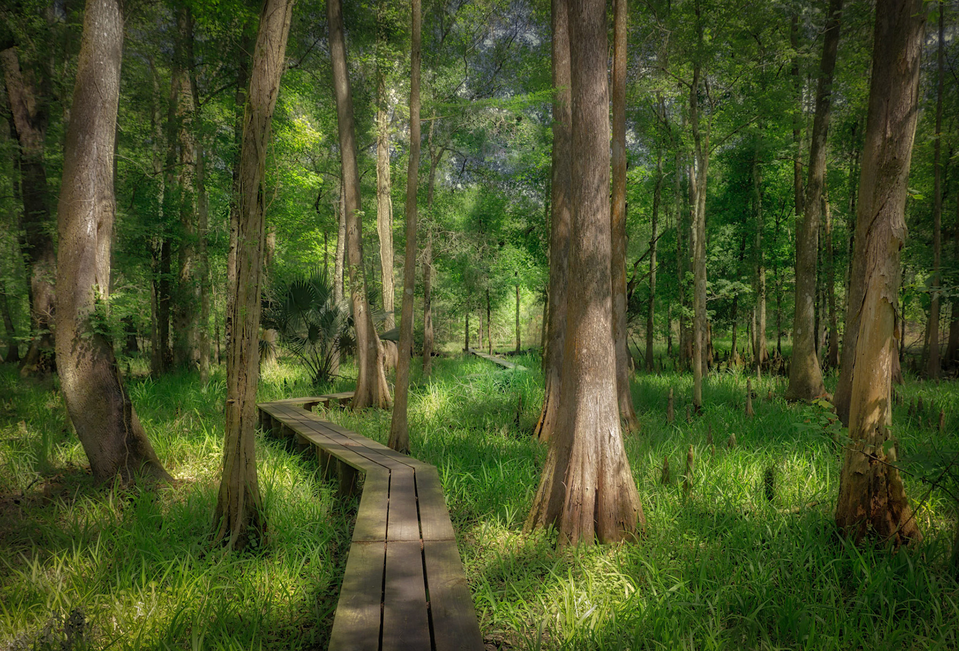 Prairie Creek Preserve