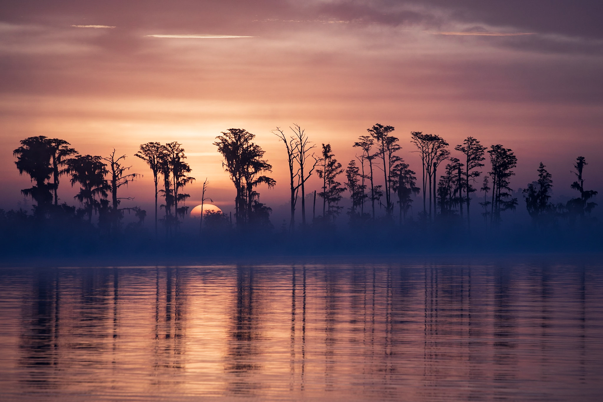 Summer Sunrise