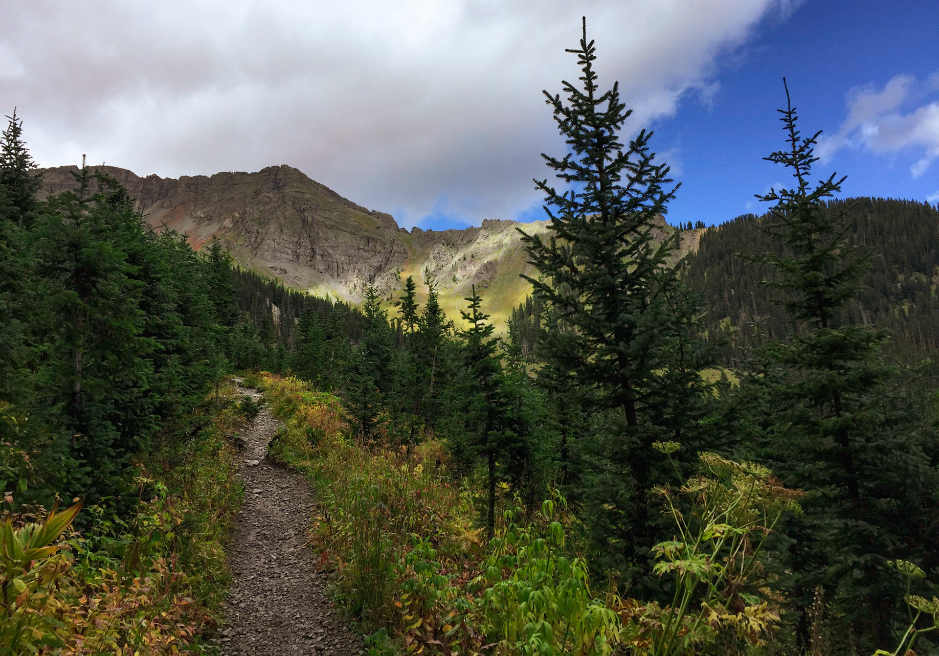 Mt. Sneffels Wilderness, CO