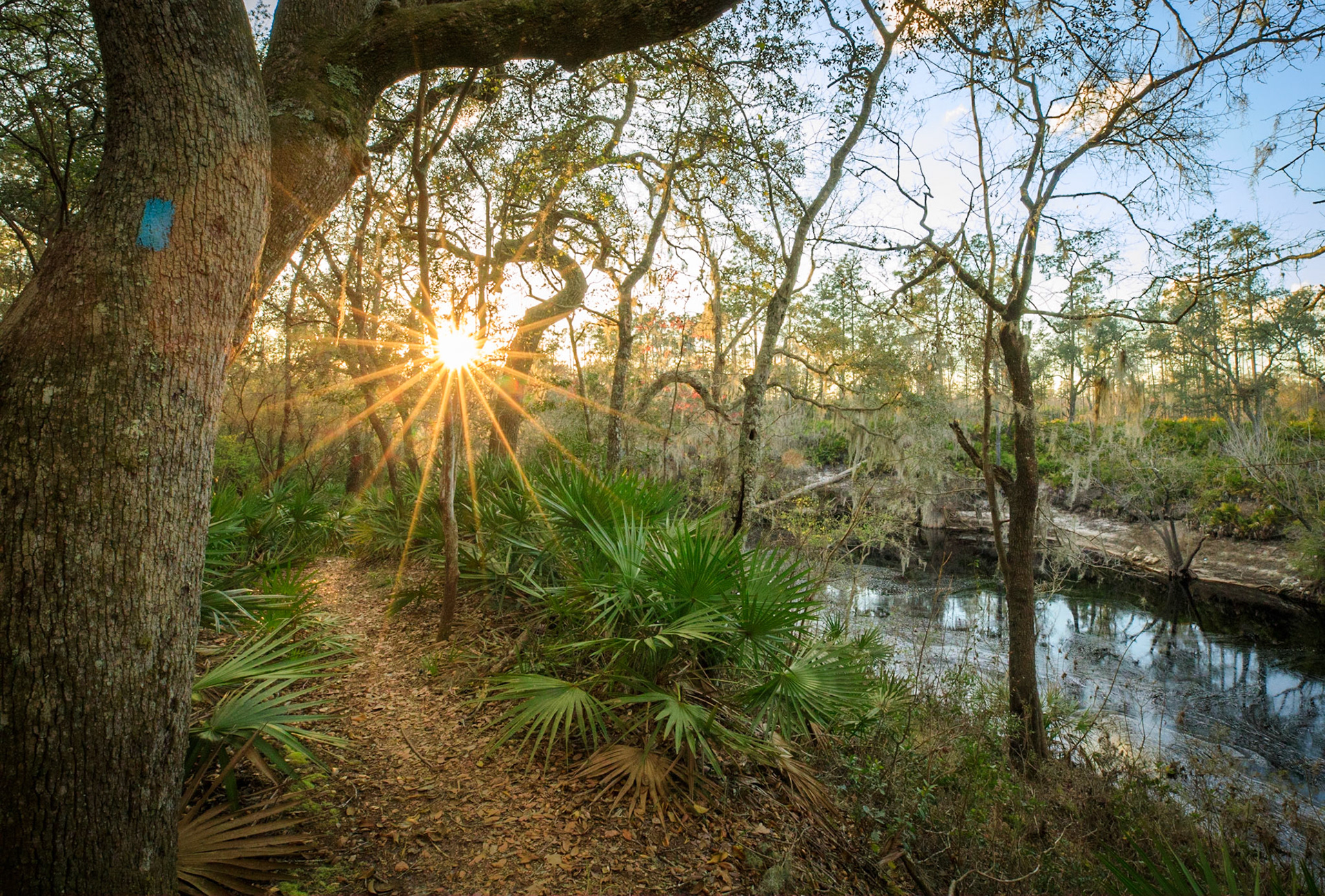Suwannee River