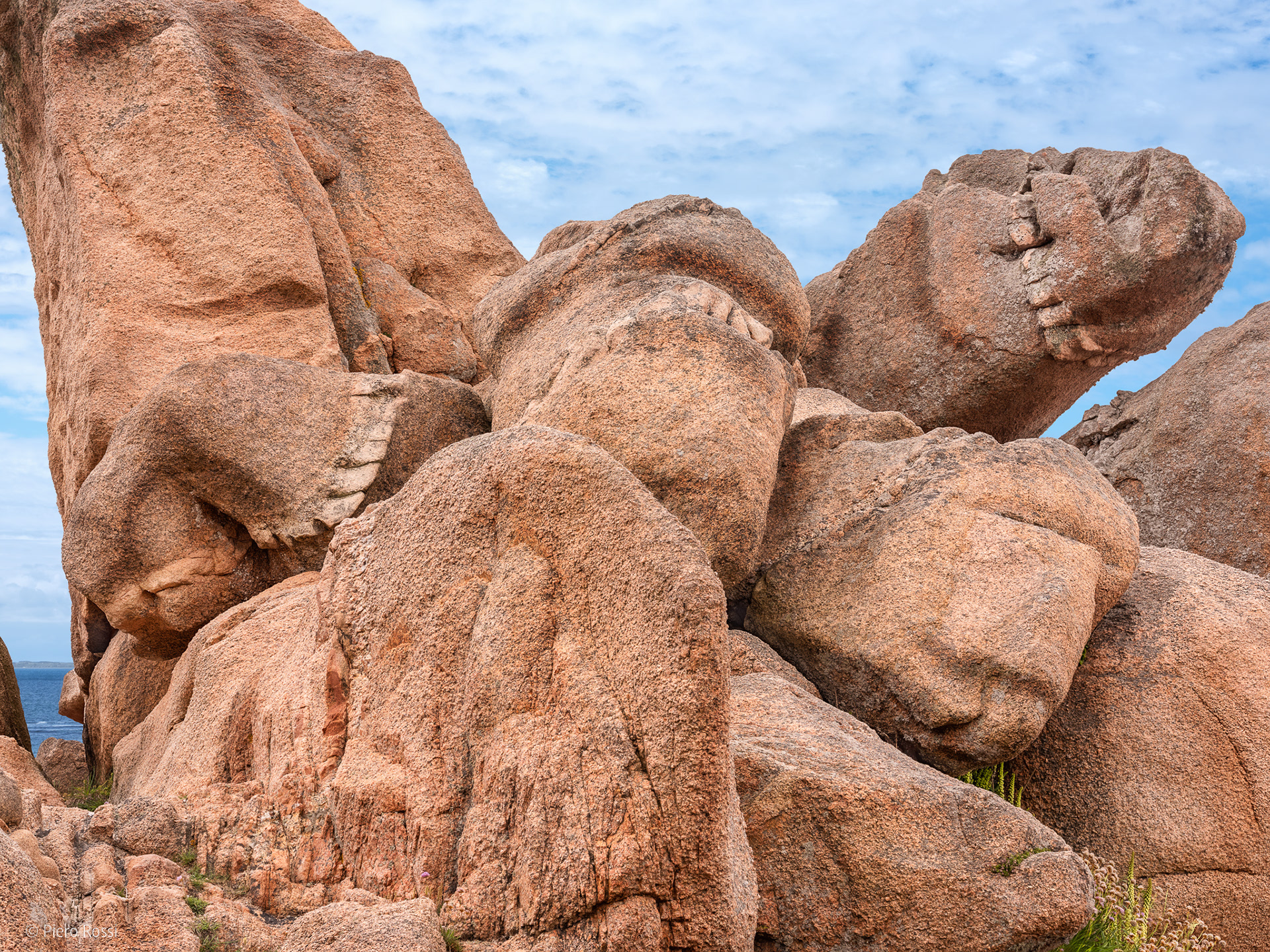 Fotografie: Hallucigenia sparsa | Côte de Granit Rose 2018 | © Piero Rossi