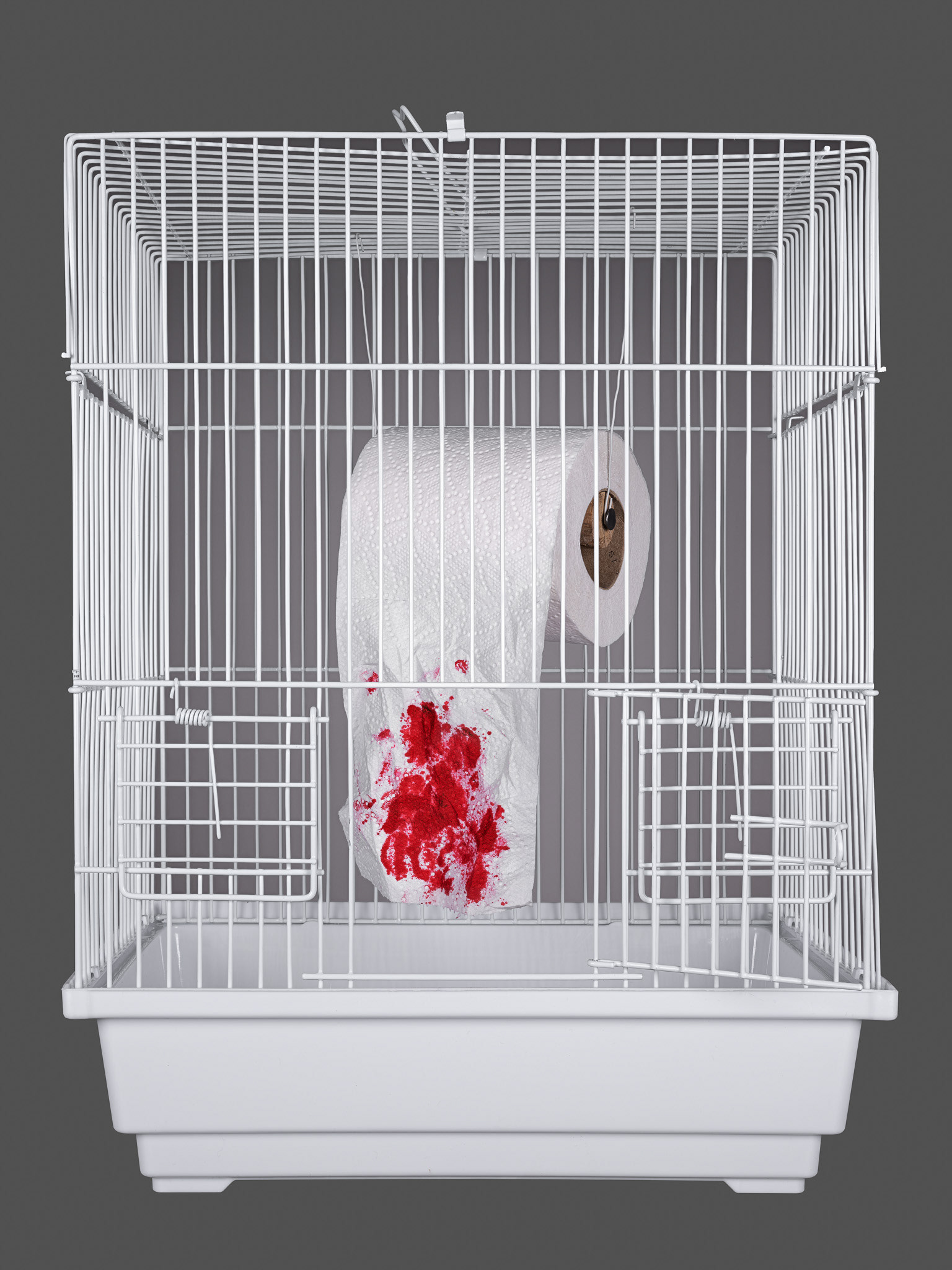 Fotografie eines Vogelkäfigs, darin eine Rolle WC-Papier mit Blut.