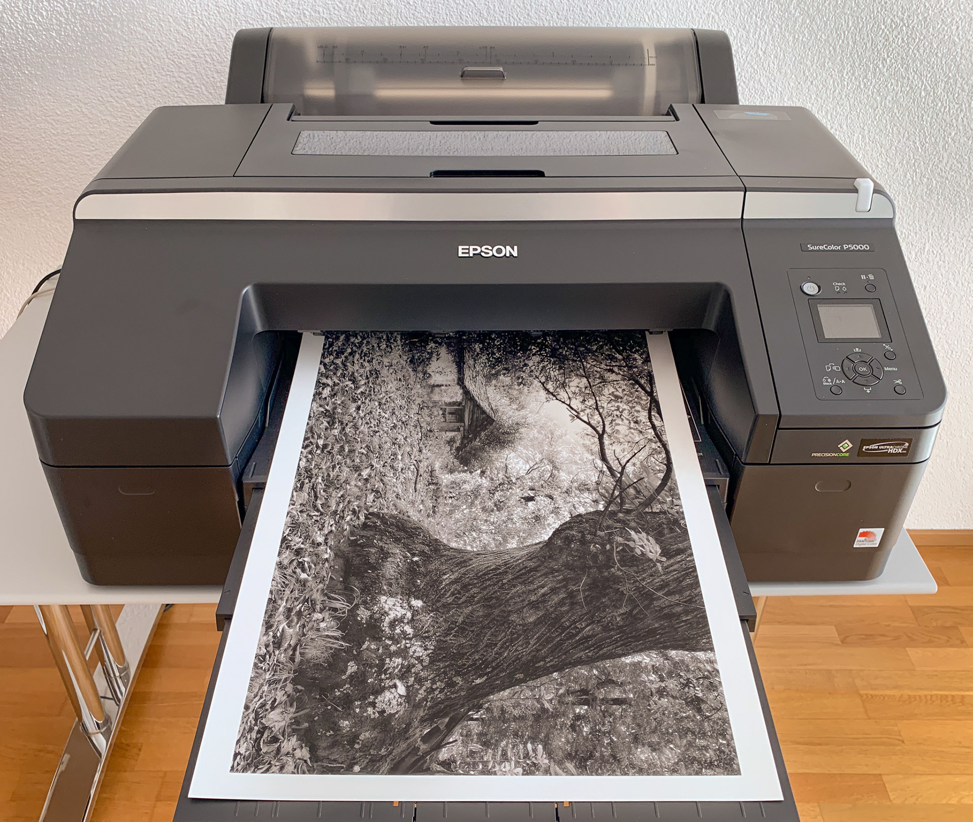Inkjet-Fotodrucker mit Schwarzweiss-Fotografie aus dem Bergell im Druckerauswurf.