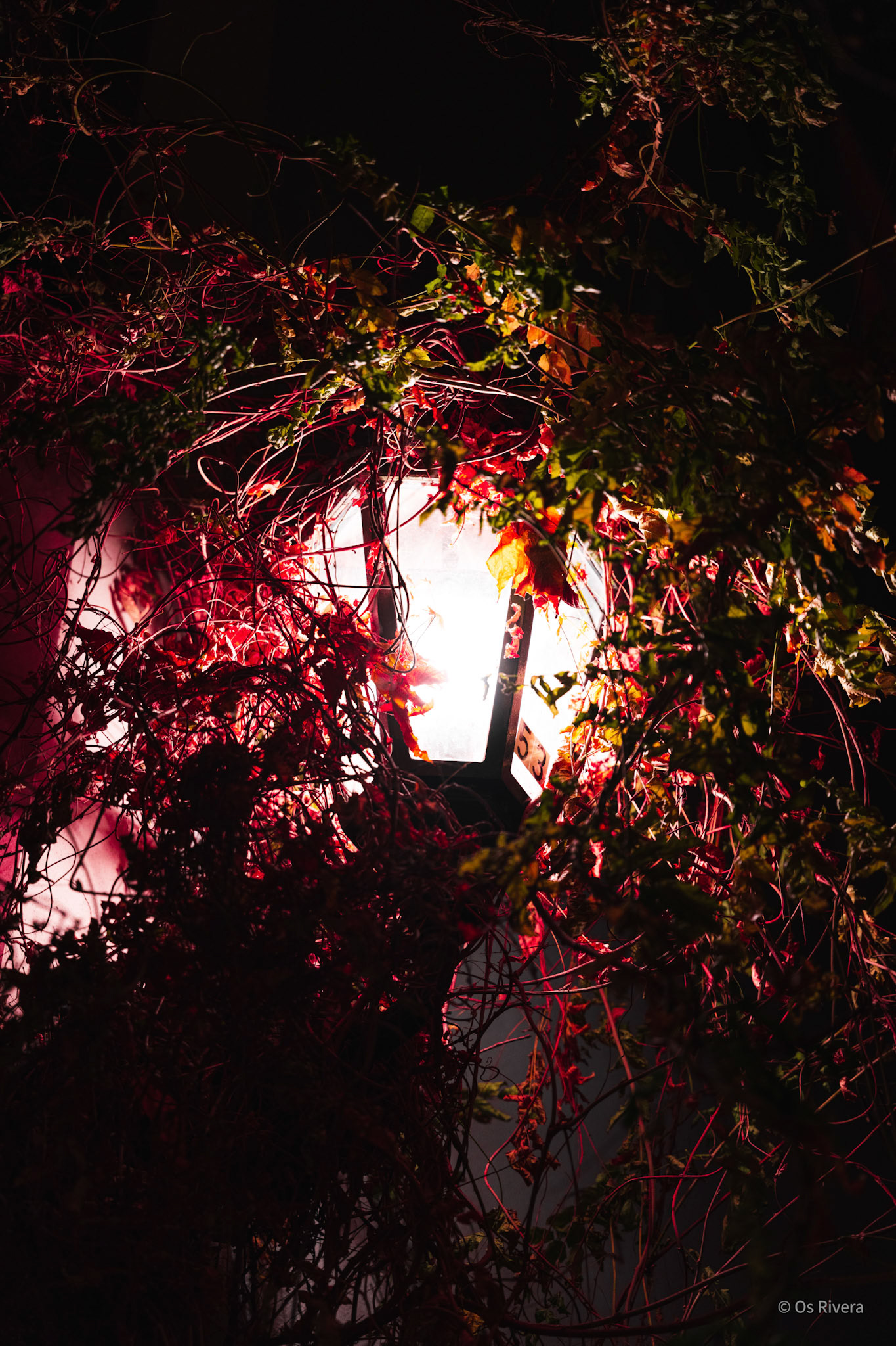 night-lamp