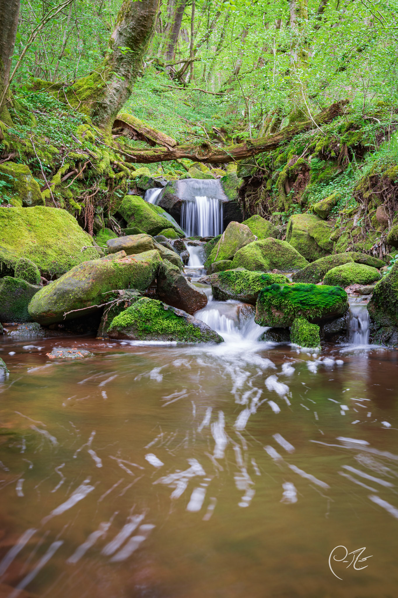 forest-waterfall