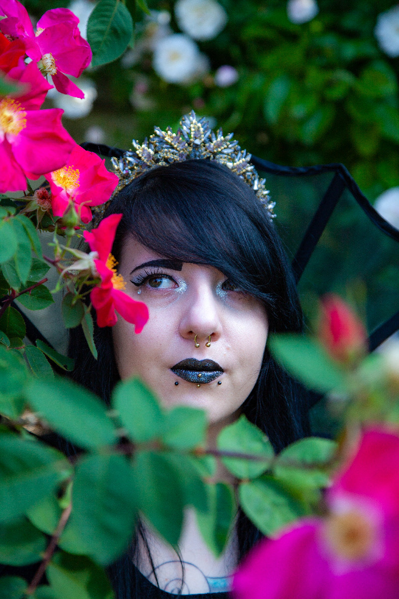 Steffi Black - Rosengarten